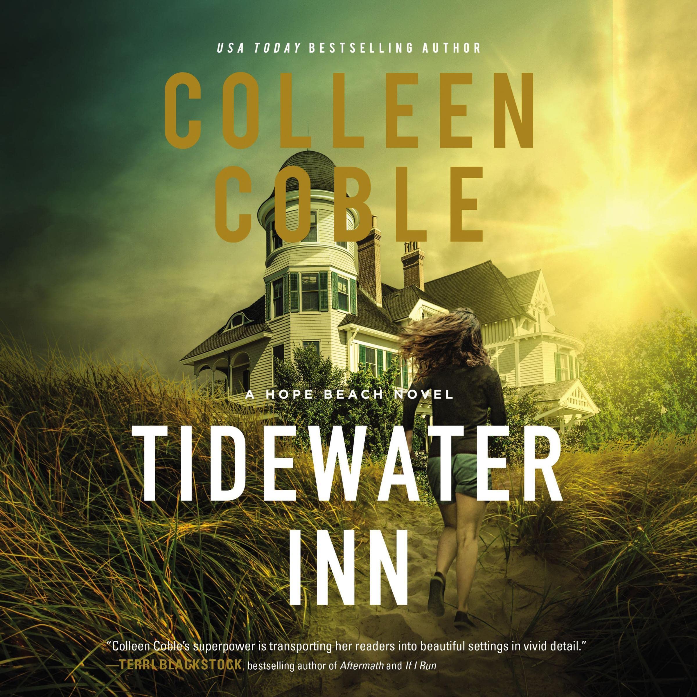 Cover art for Tidewater Inn
