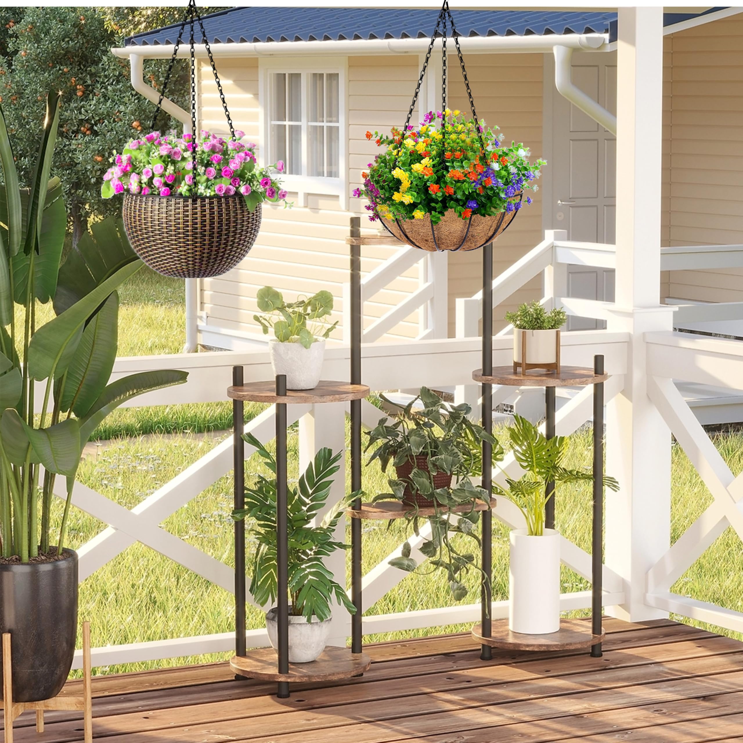 honesty money plant Honesty Seeds  Foothill Gardener