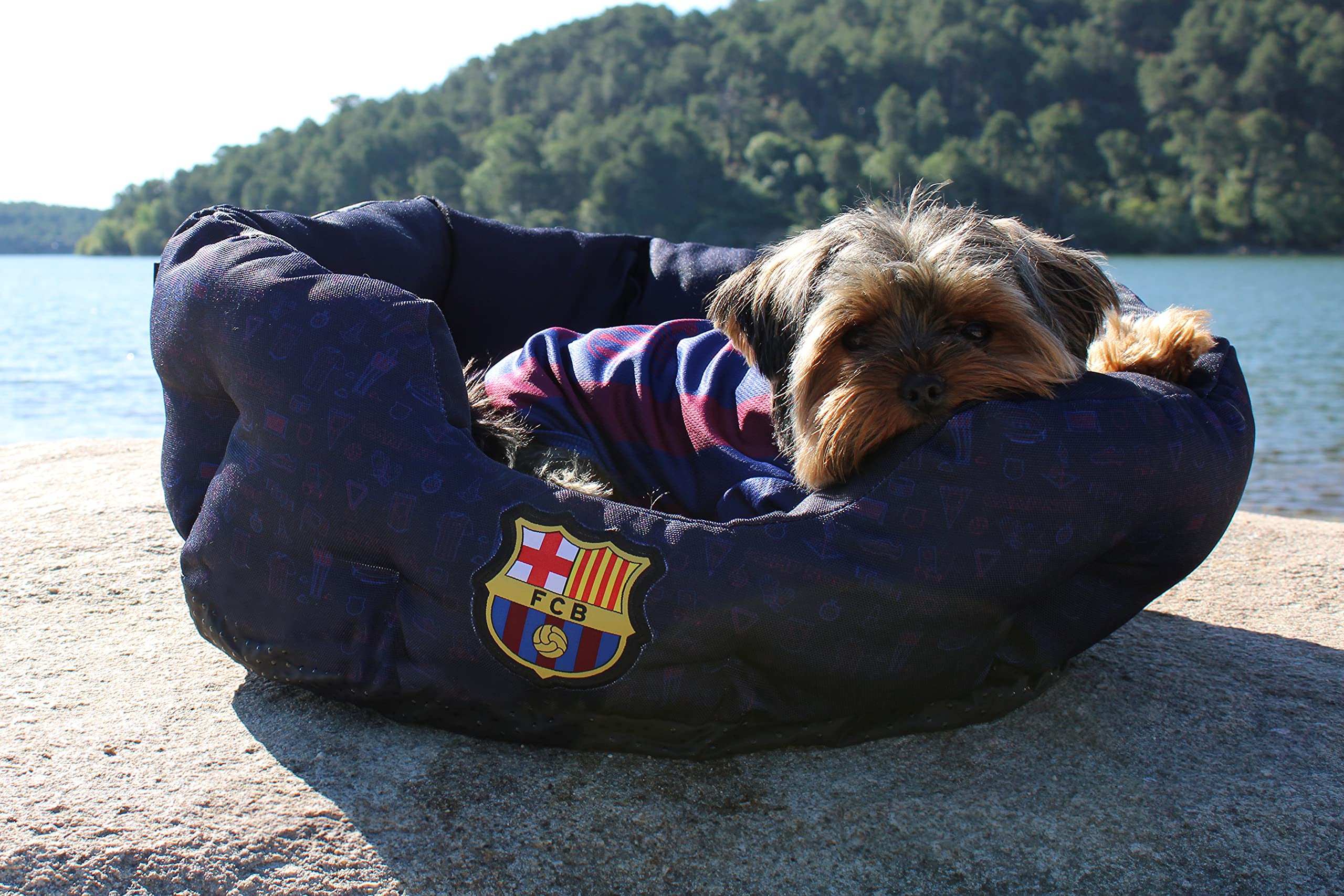 FC BARCELONA - Cama para Mascotas, Perros, Gatos, Conejos, Talla L, 3 Tamaños Disponibles, Forma de Estadio, Cojín Independiente, Producto Oficial (CyP Brands)