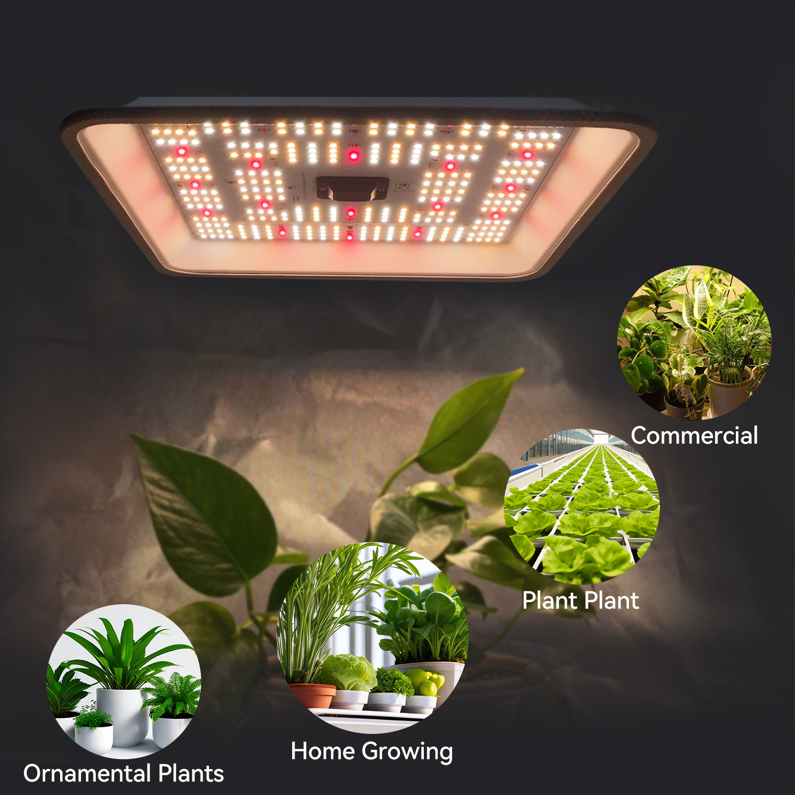 Amazon.co.jp: Hipargero: 植物育成ライト
