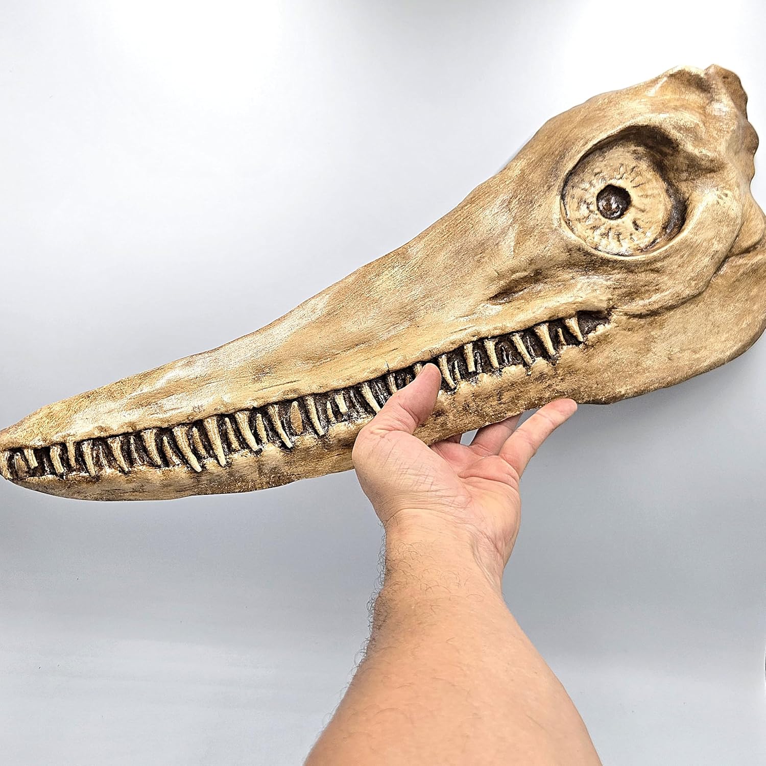 NO 3D Printed. Smilodon Skull Fossil, Ichthyosaur Skull Fossil Replica Decor Prop Gift Animal Statue Figurine Wall Decor