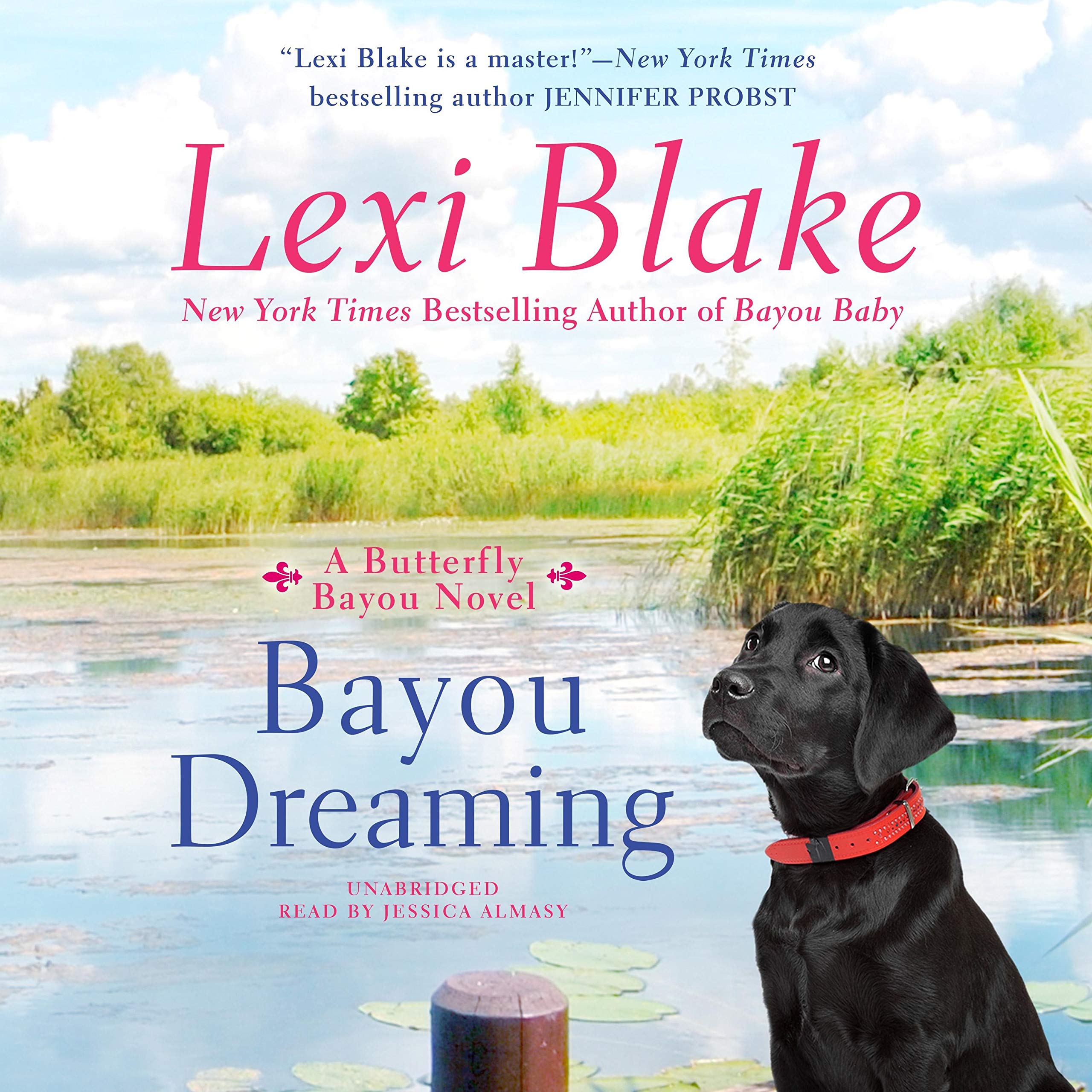 Cover art for Bayou Dreaming