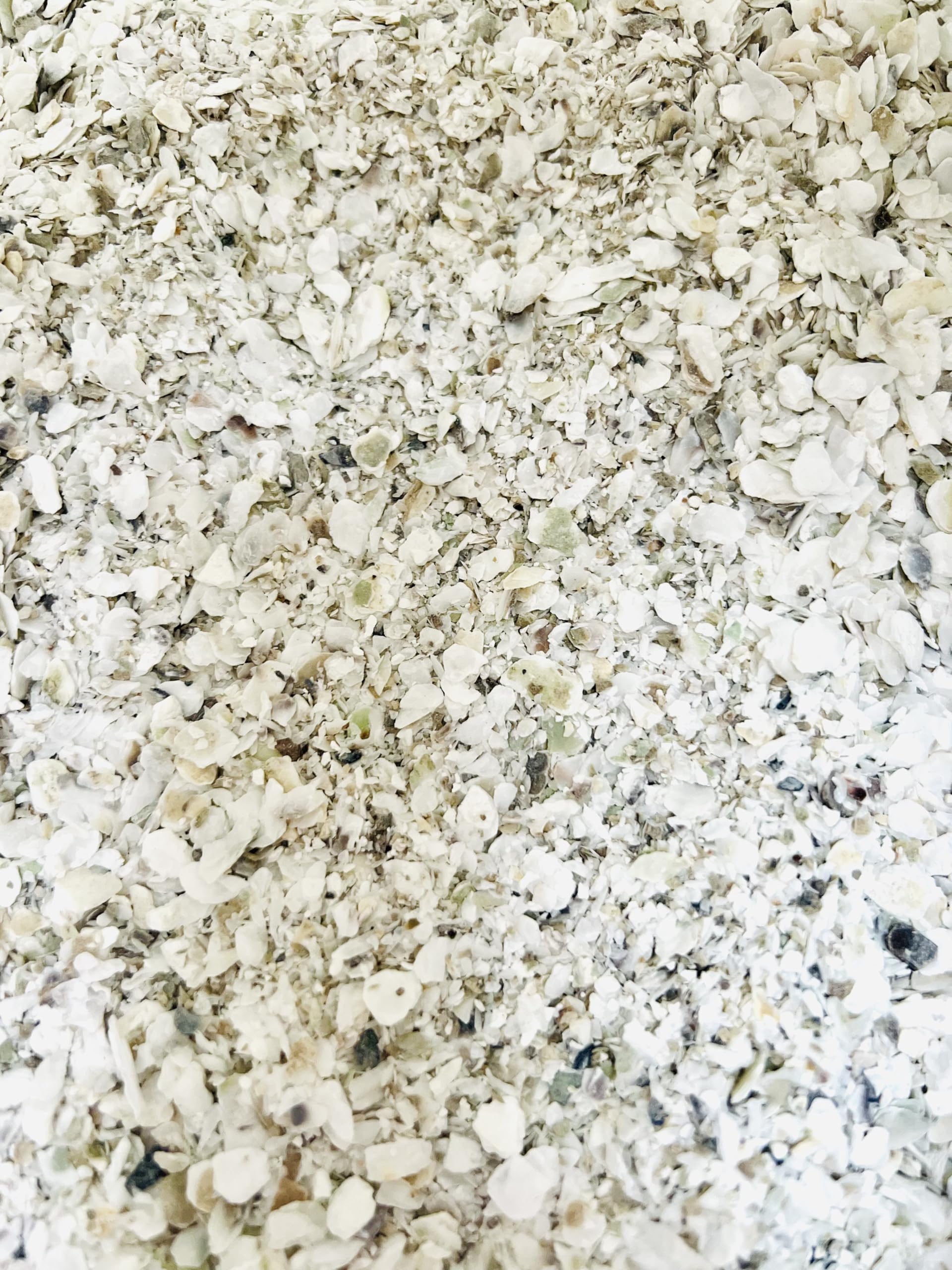 900 g di gusci di ostriche francesi naturali, igienizzate, calibrate e macinate per pollame - Alto contenuto di calcio: da 36 a 38% e oligoelementi (900 g)