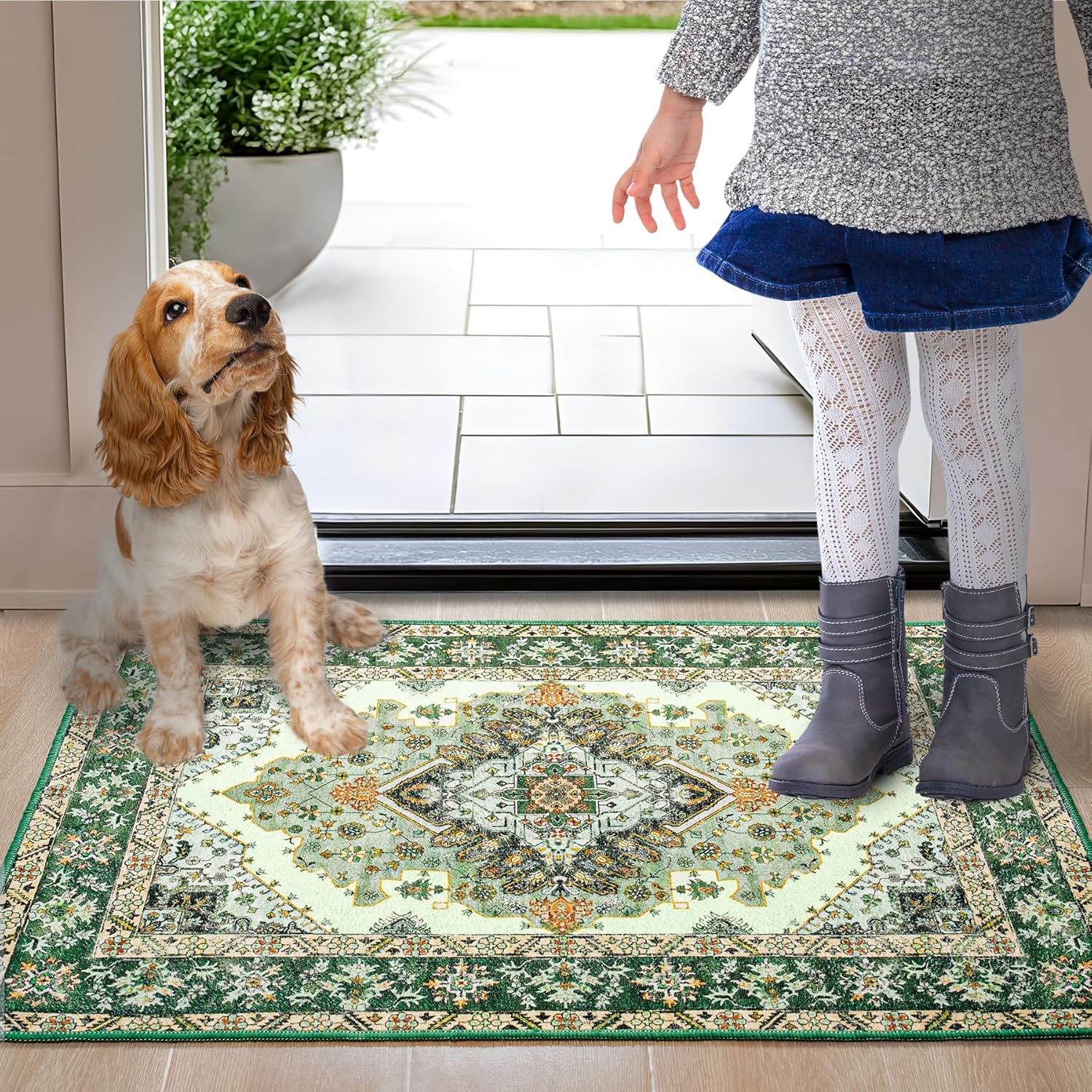 Noahas Front Door Mat Indoor Outdoor Entrance 2x3 Small Green Area Rugs Vintage Machine Washable Rugs Non-Slip Low