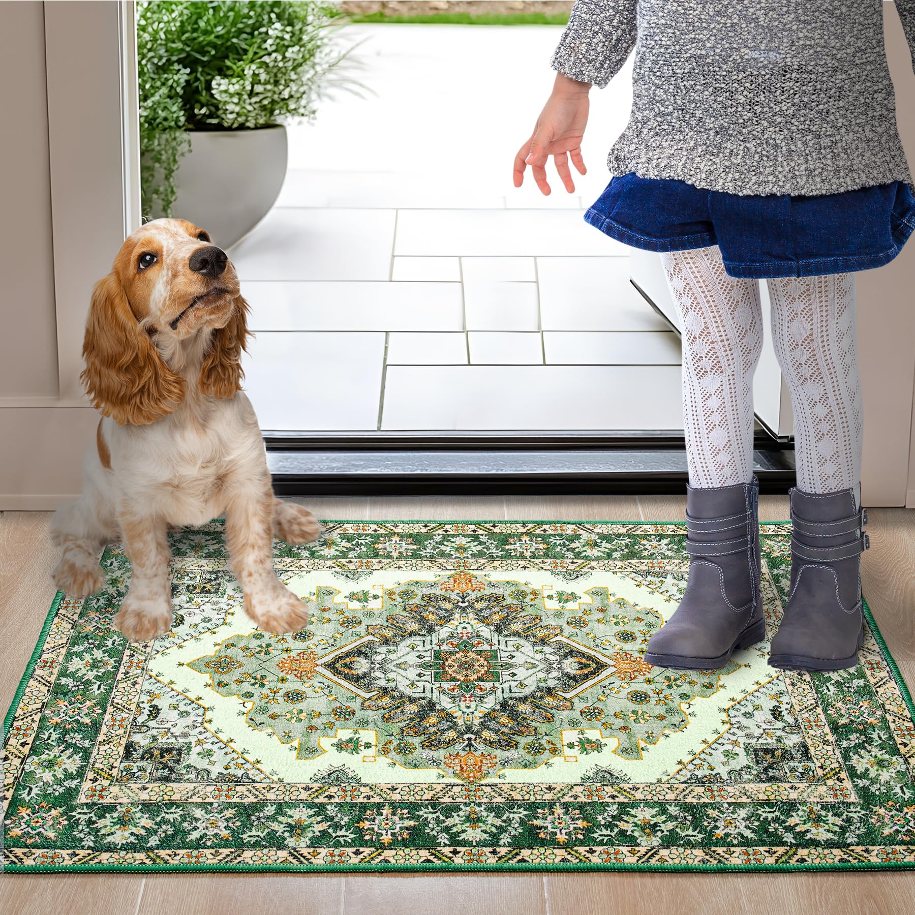 Noahas Front Door Mat Indoor Outdoor Entrance,2x3 Small Green Area Rugs Vintage Machine Washable Rugs Non-Slip Low Pile Carpets for Entryway Porch