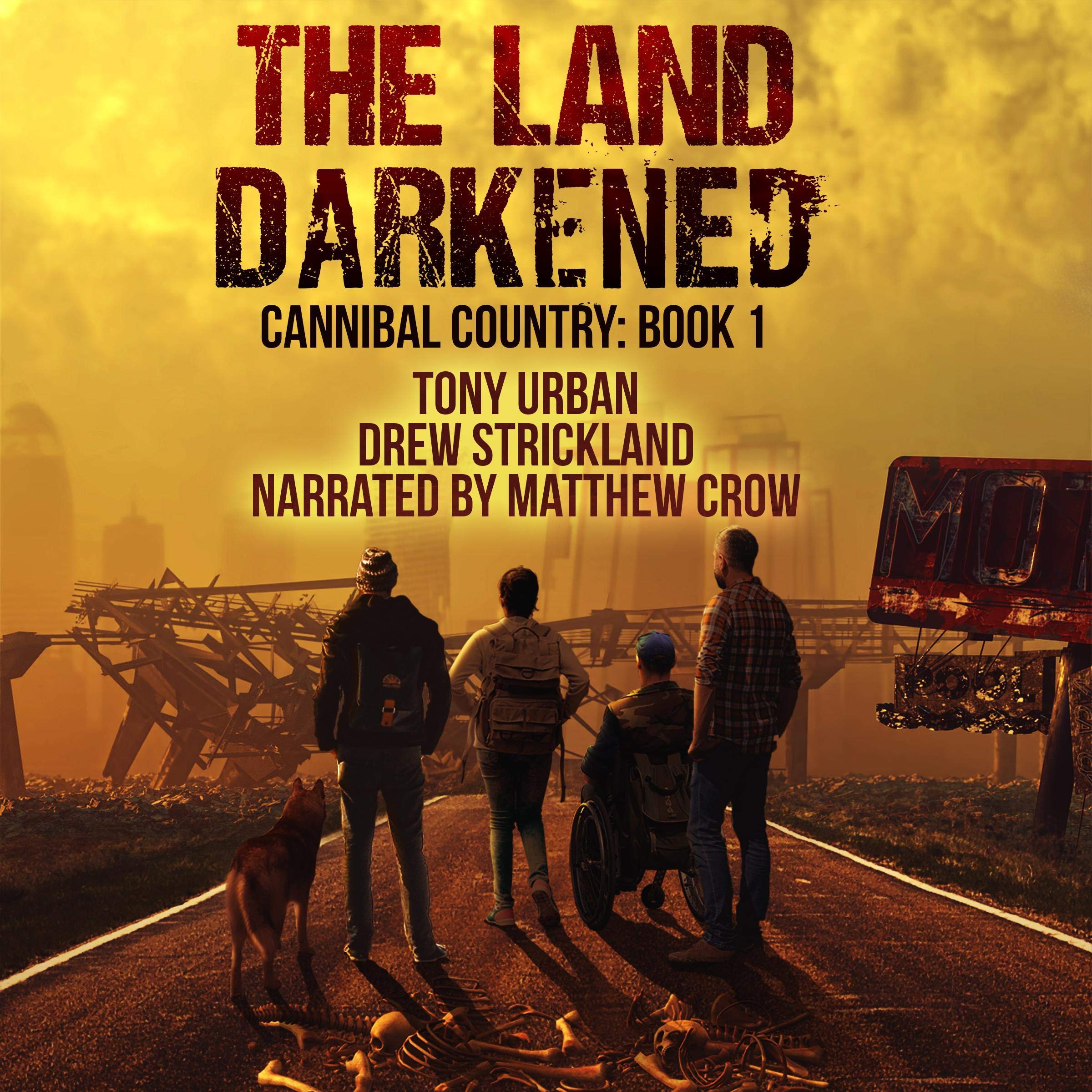 Cover art for The Land Darkened