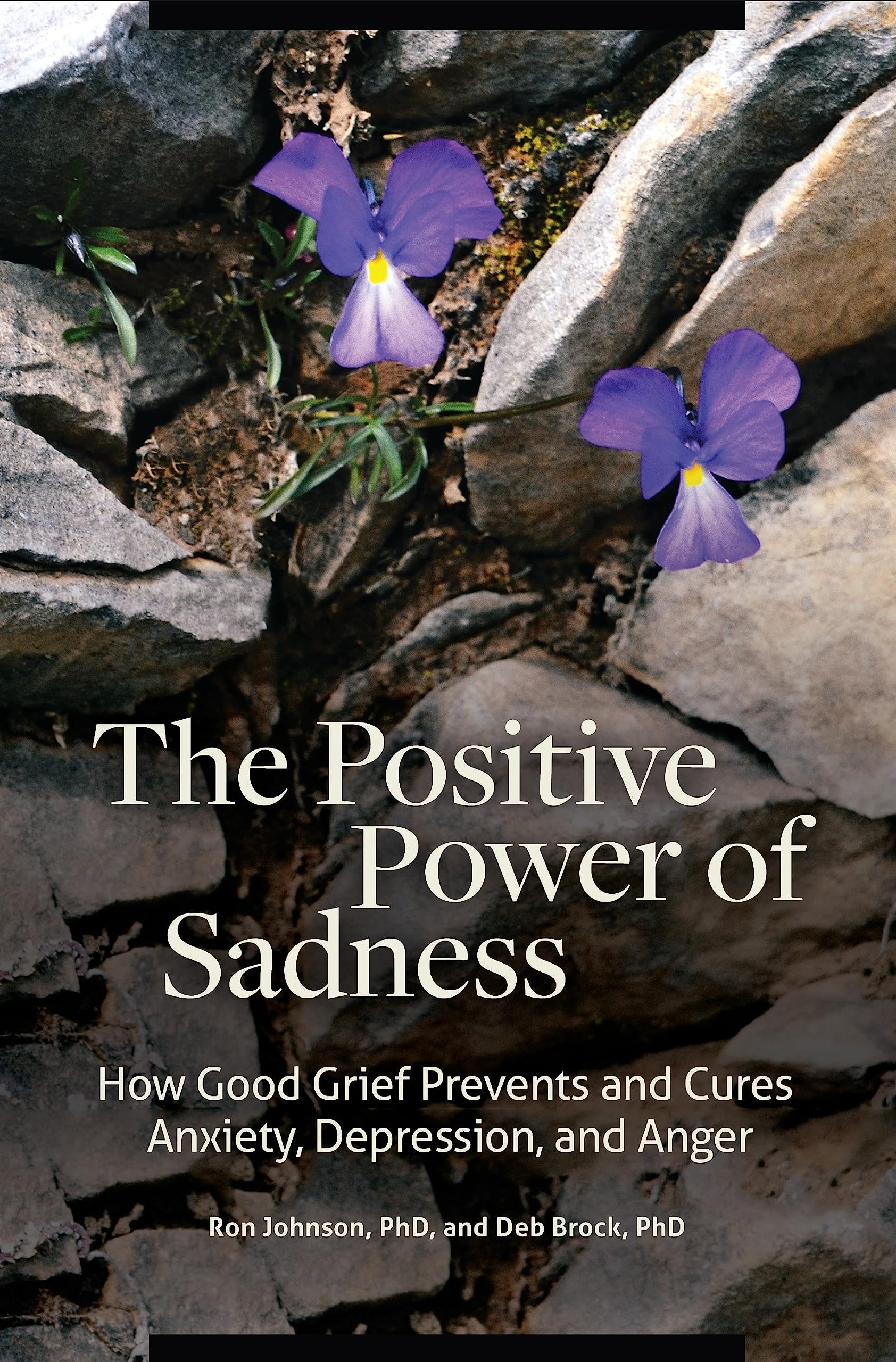 The Positive Power of Sadness: How Good Grief Prevents and Cures Anxiety, Depression, and Anger (Psychology, Religion, and Spirituality)