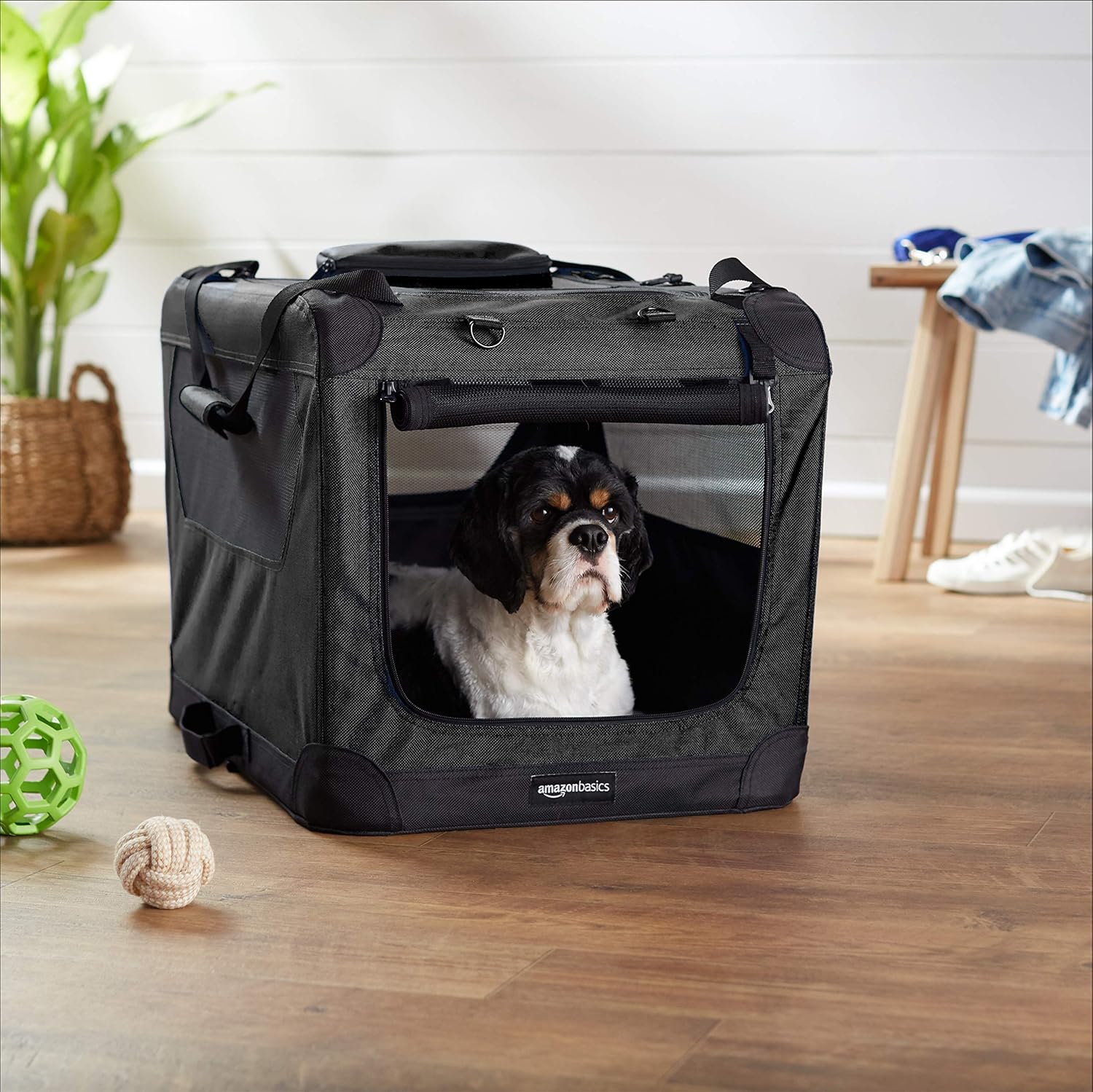 Basics Premium Folding Portable Soft Pet Crate - 26‘, BLACK : Pet Supplies