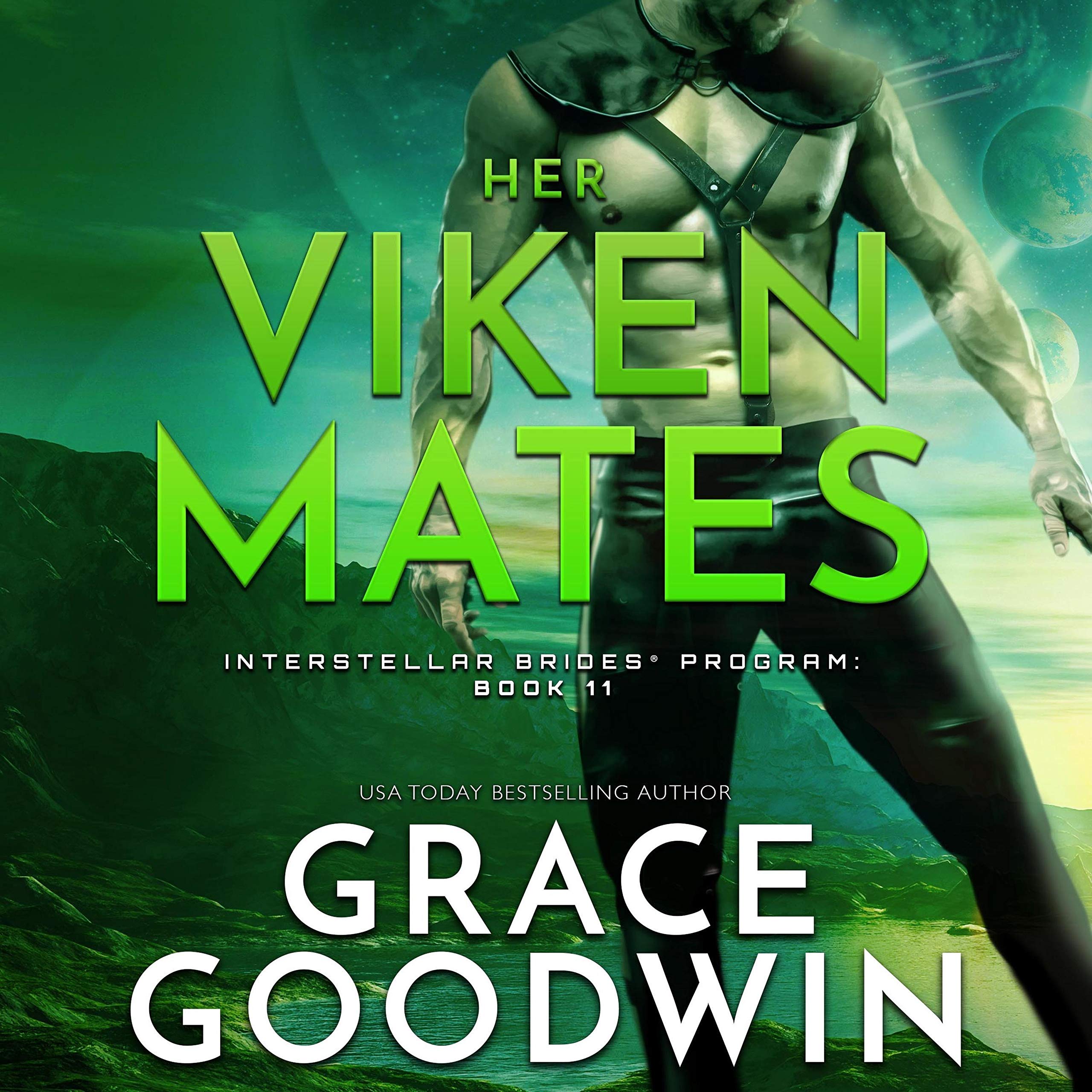 Cover art for Her Viken Mates