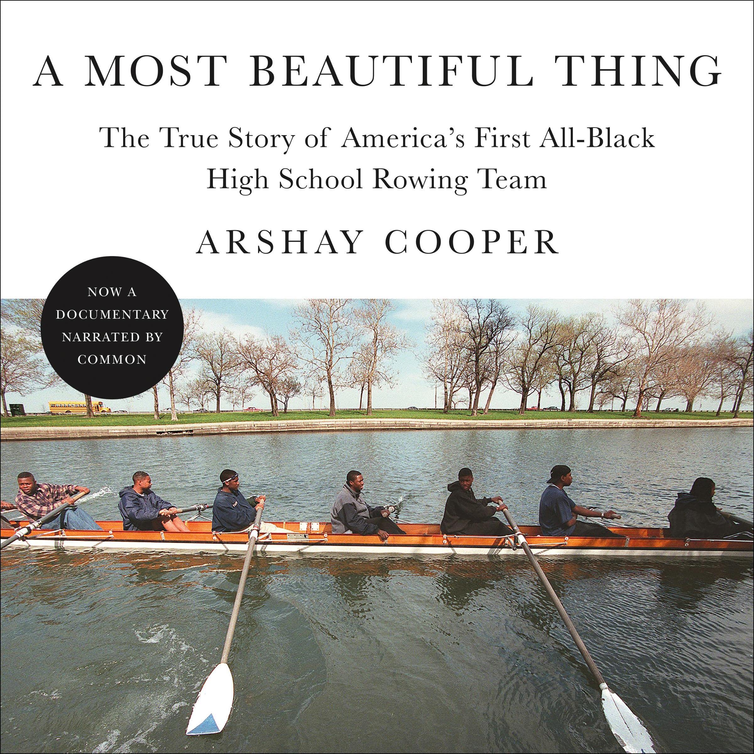 Cover art for A Most Beautiful Thing
