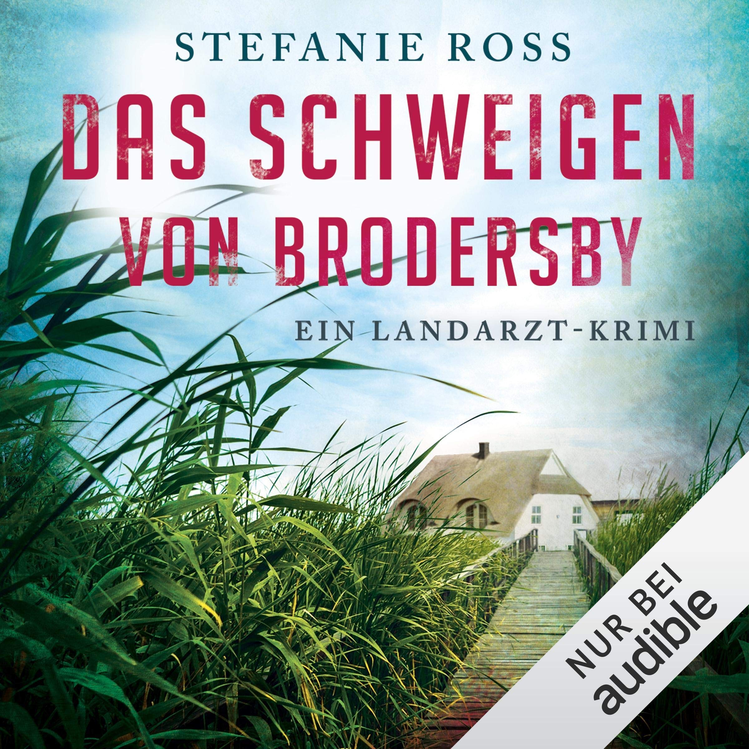 Cover art for Das Schweigen von Brodersby. Ein Landarzt-Krimi