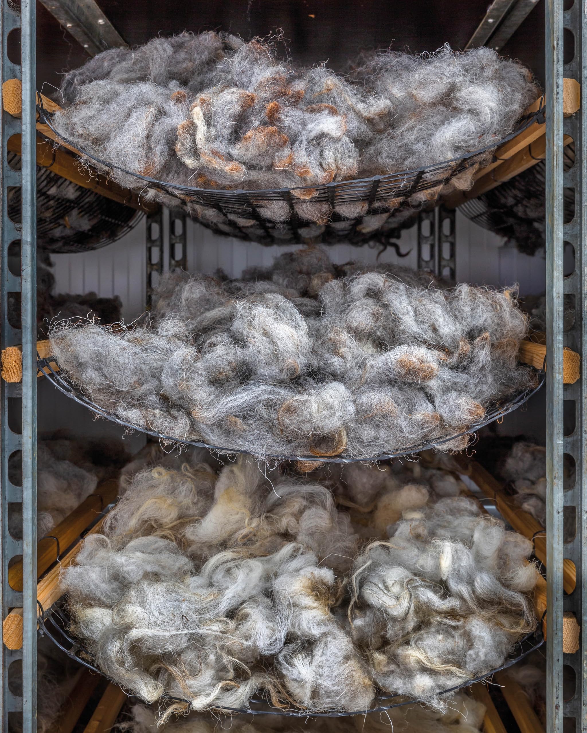The Wonder of Wool: A knitter's guide to pure breed sheep