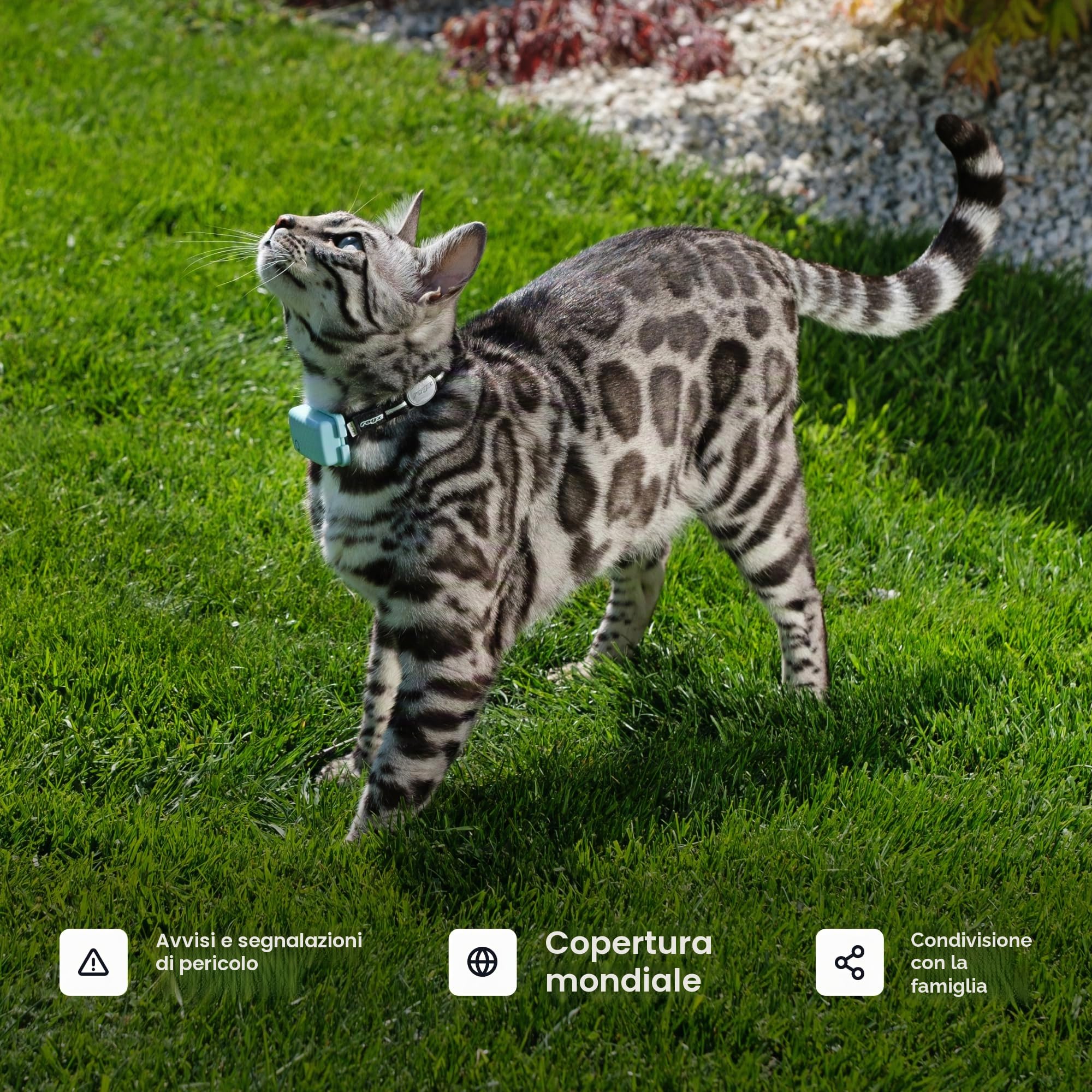 Tractive Localizzatore GPS e monitoraggio della salute per gatti (2,9 kg+) – Localizzatore di posizione GPS per animali domestici leader di mercato | Allerta benessere e fuga | Impermeabile | Funziona