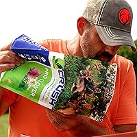 Vista 5 de Seeds of Science Pro Clover (2)