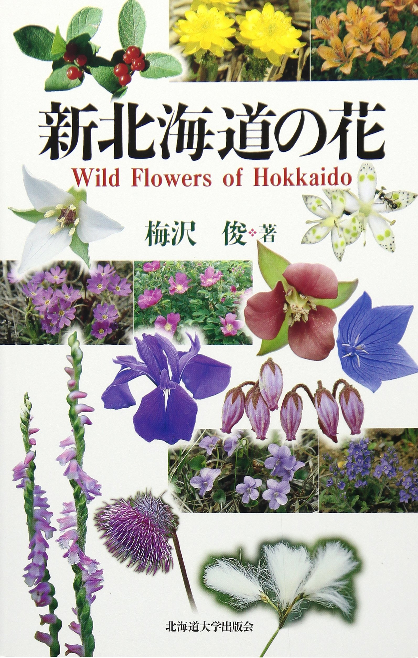 新北海道の花 梅沢 俊 配送料無料