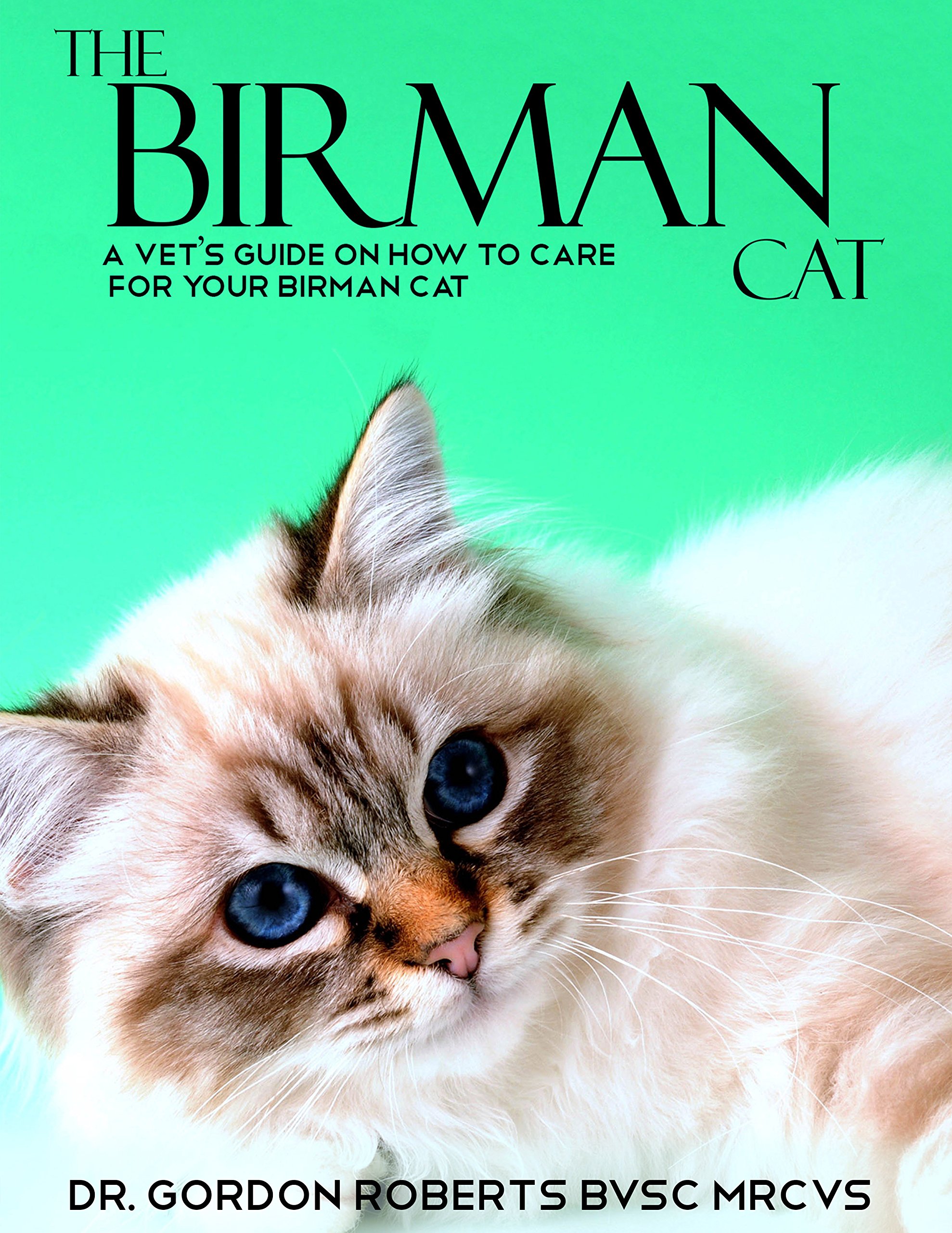 The Birman Cat Vet Guide