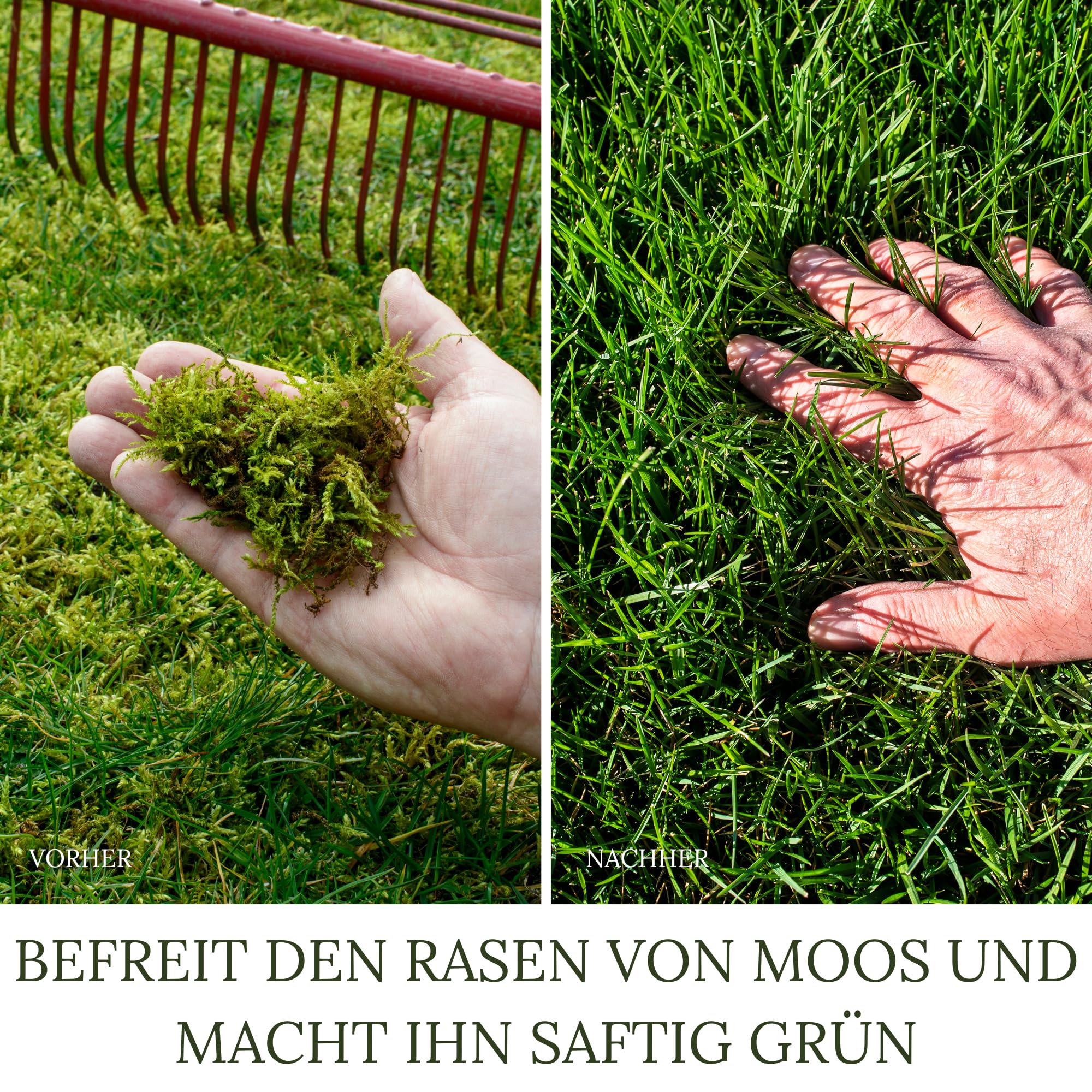 Bio Rasenkalk, Gartenkalk, Kalk, Düngekalk gegen Moos, Filz und Pilze im Rasen, fein gekörnt und staubarm, Gewicht: 30 Kg Für 600 M²