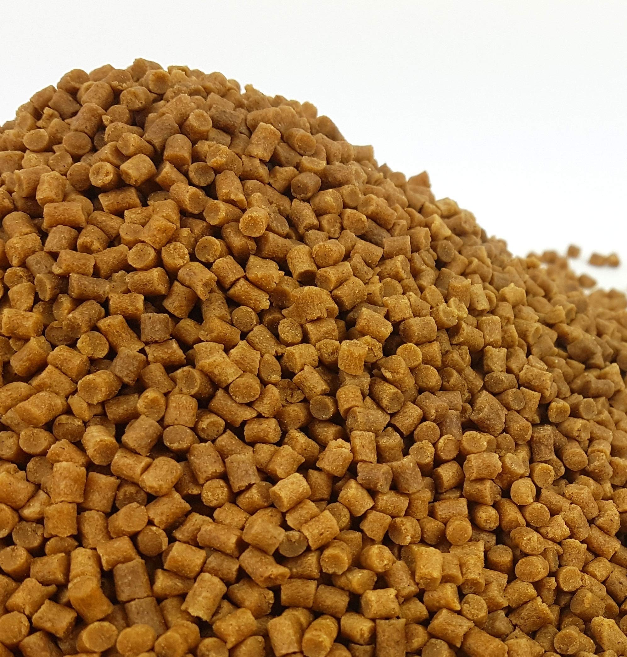 Sinking Wheatgerm Pond Pellets - Winter Fish Food Koi Goldfish Tench Sturgeon (1kg)