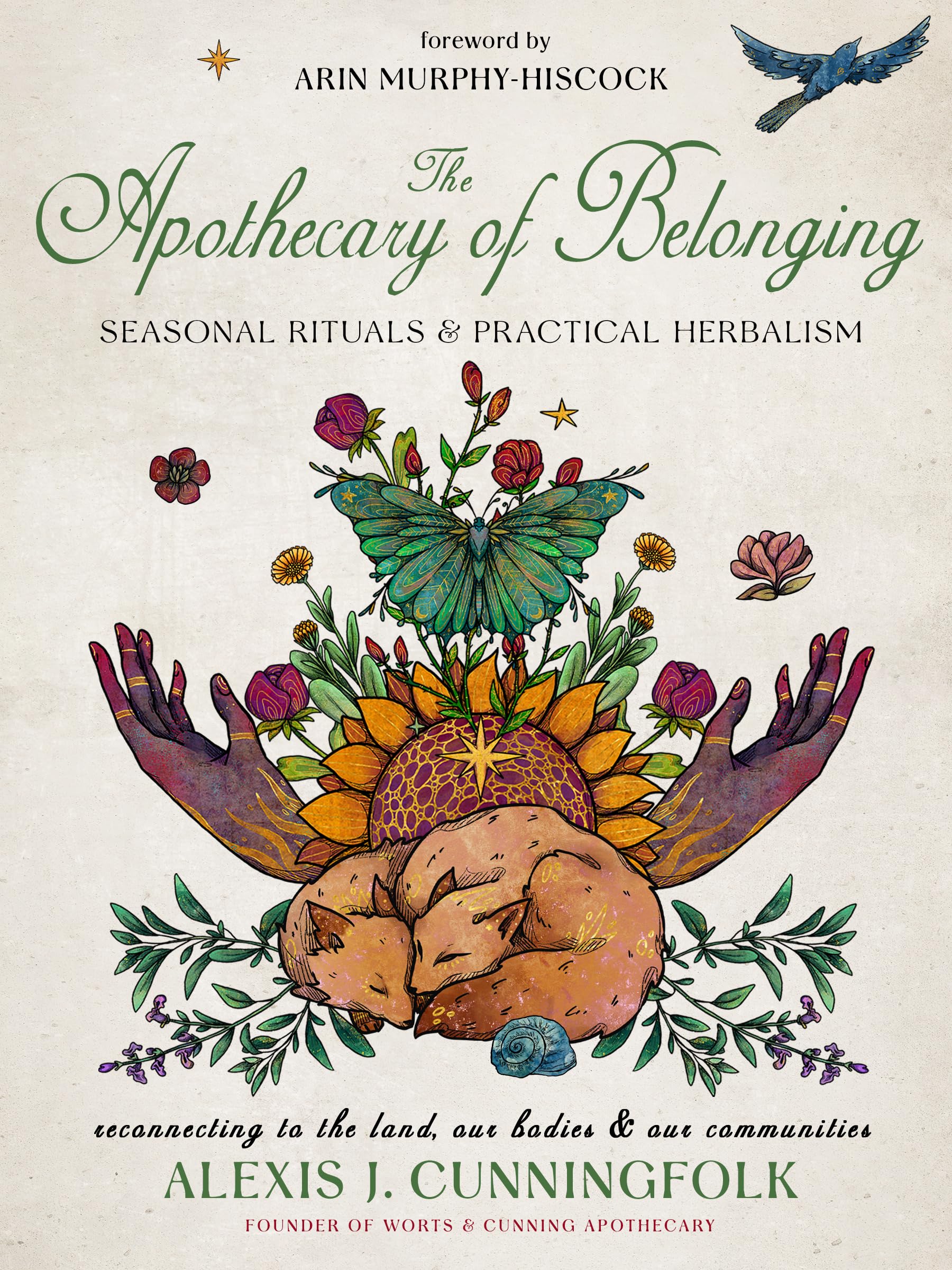 The Apothecary of Belonging: Seasonal Rituals and Practical Herbalism