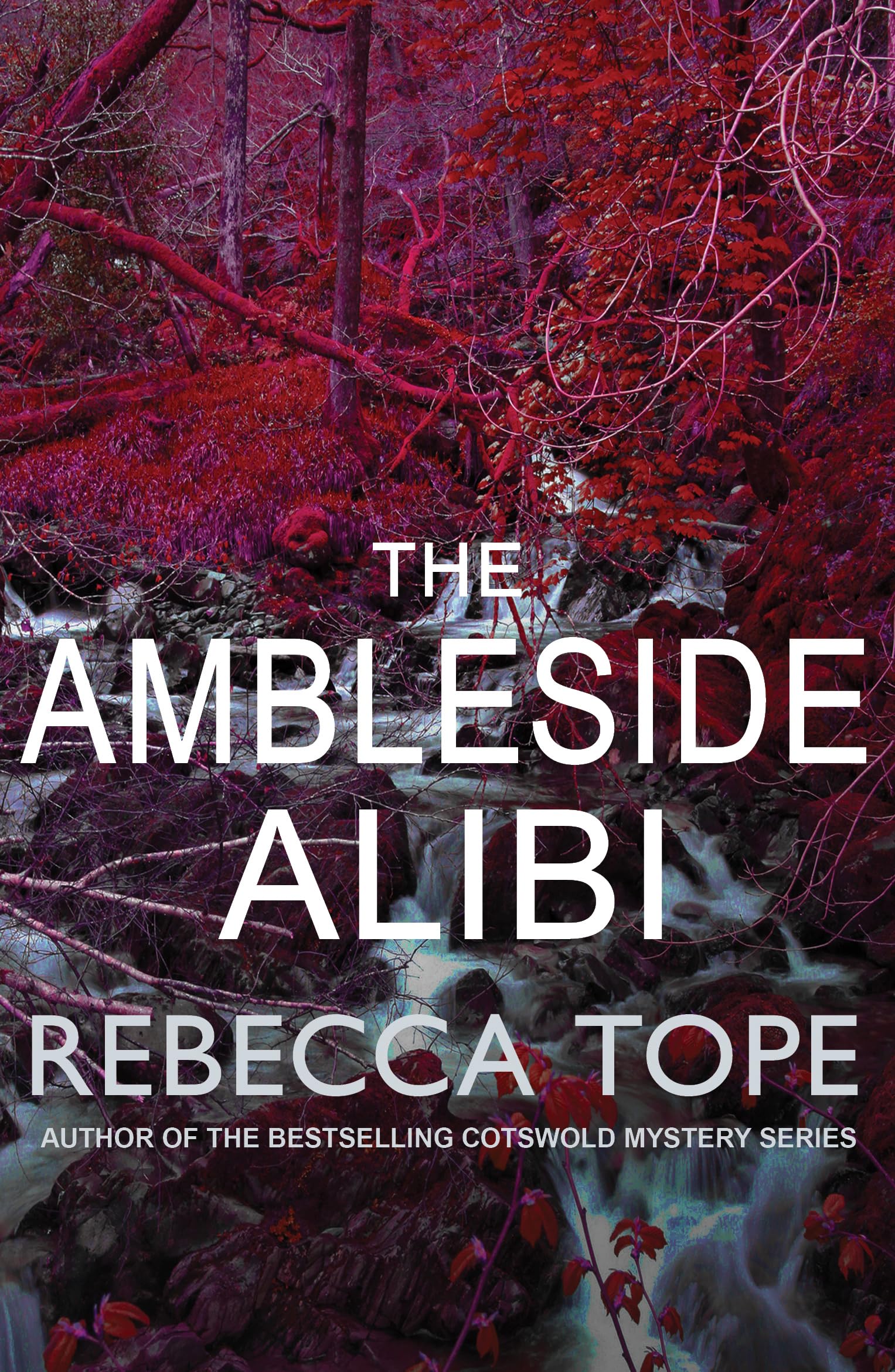 The Ambleside Alibi: The gripping English cosy crime series (Lake District Mysteries)