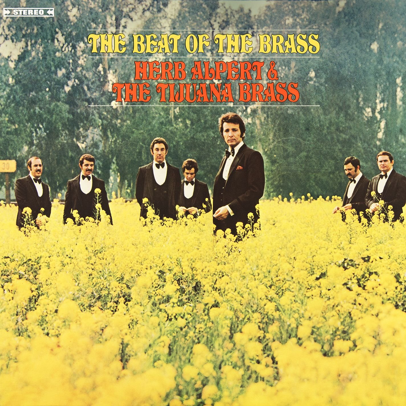 Amazon.co.jp: The Beat Of The Brass: ミュージック