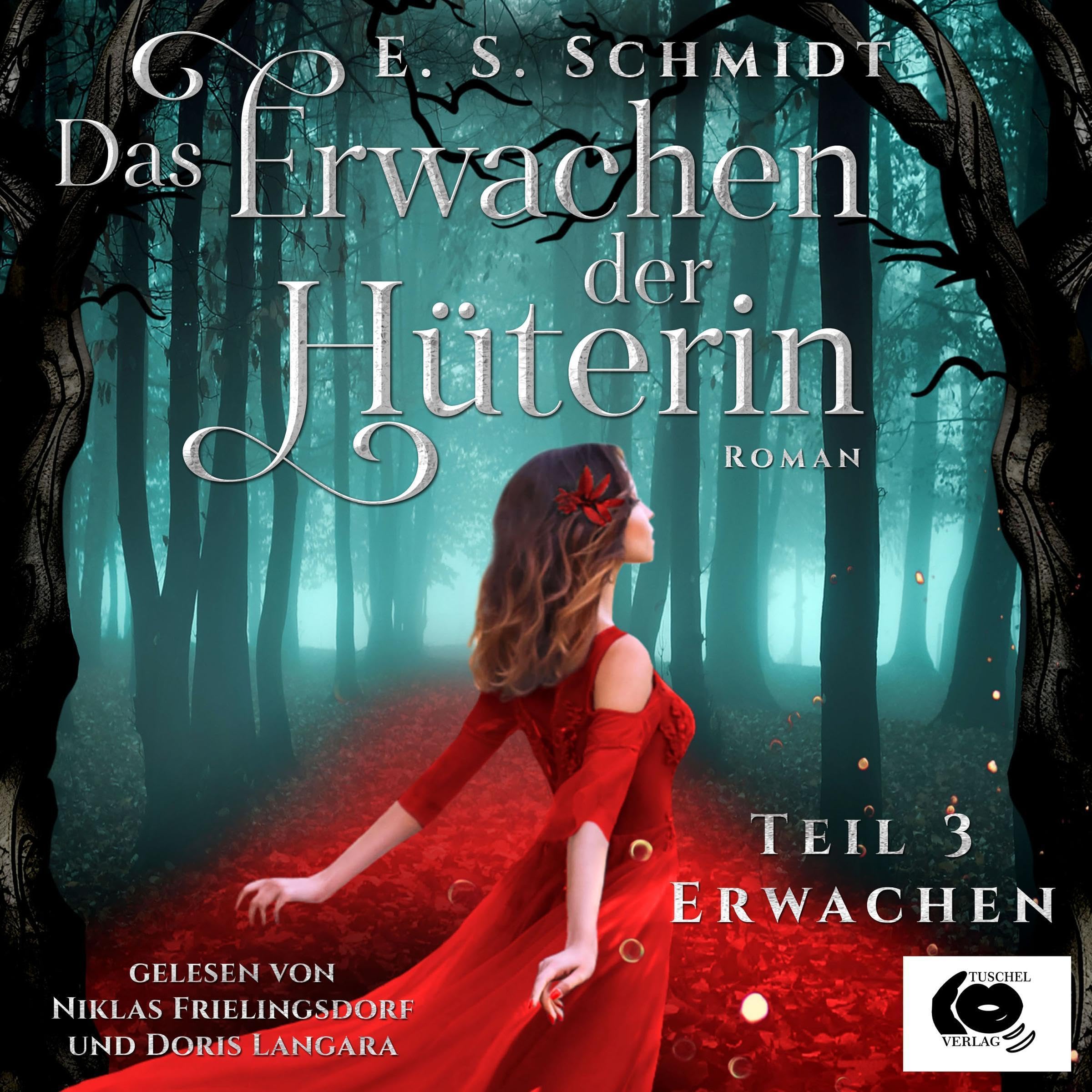 Cover art for Das Erwachen der Hüterin - Erwachen