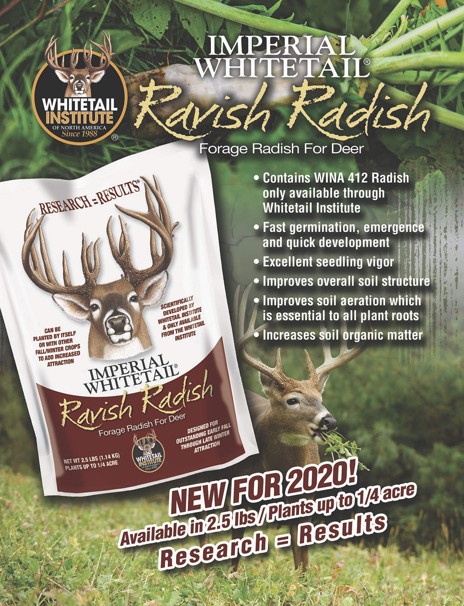 Whitetail Institute Ravish Radis Deer Graines de parcelle alimentaire annuelle à haute production pour attirer et retenir les cerfs tout au long de l'automne et de l'hiver, 1,1 kg (0,25 acre)