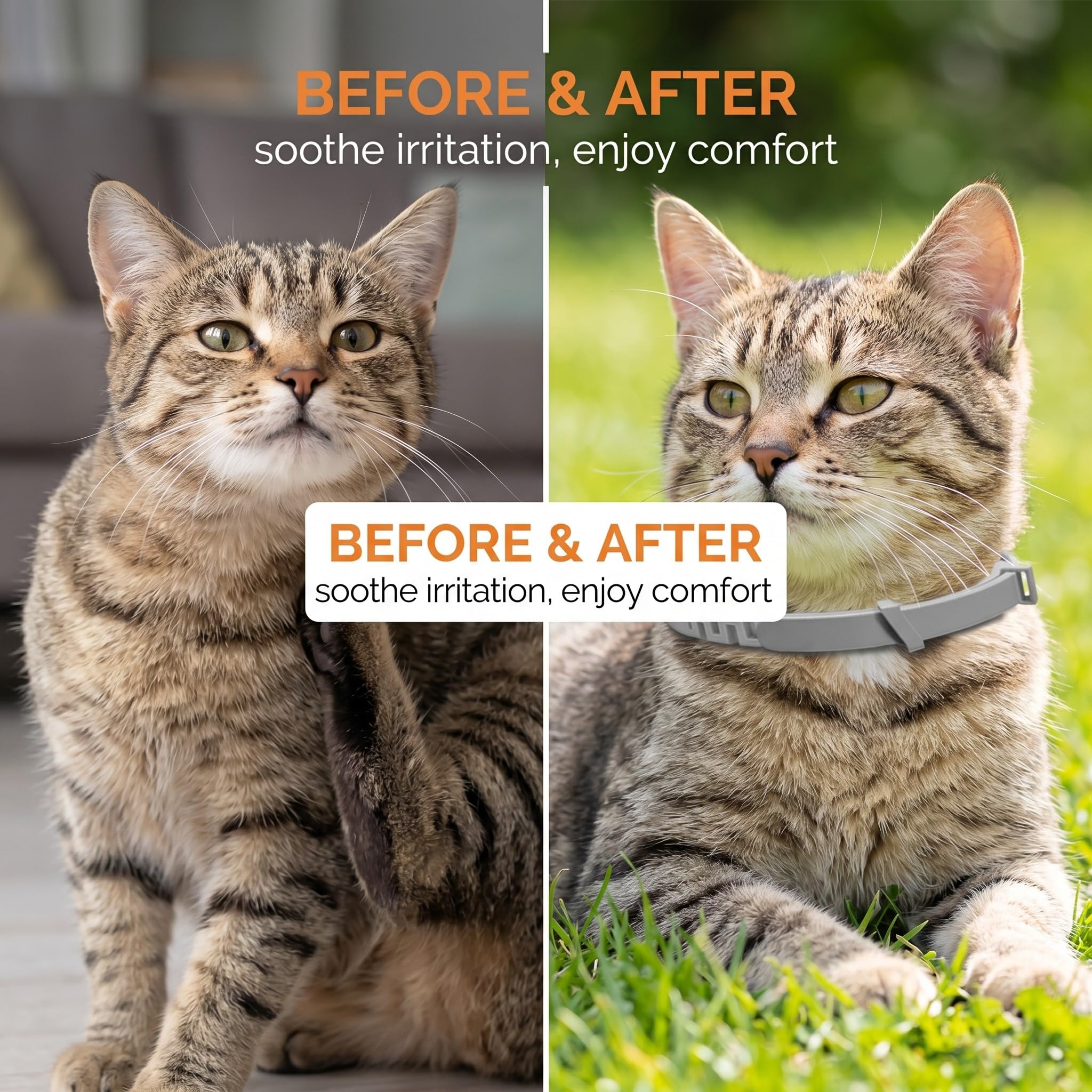 2 Collares Antipulgas Para Gatos, Collar Antiparasitario Seguro Y Eficaz, En Gris, Accesorio Para Mascotas, Protección Para Gatos