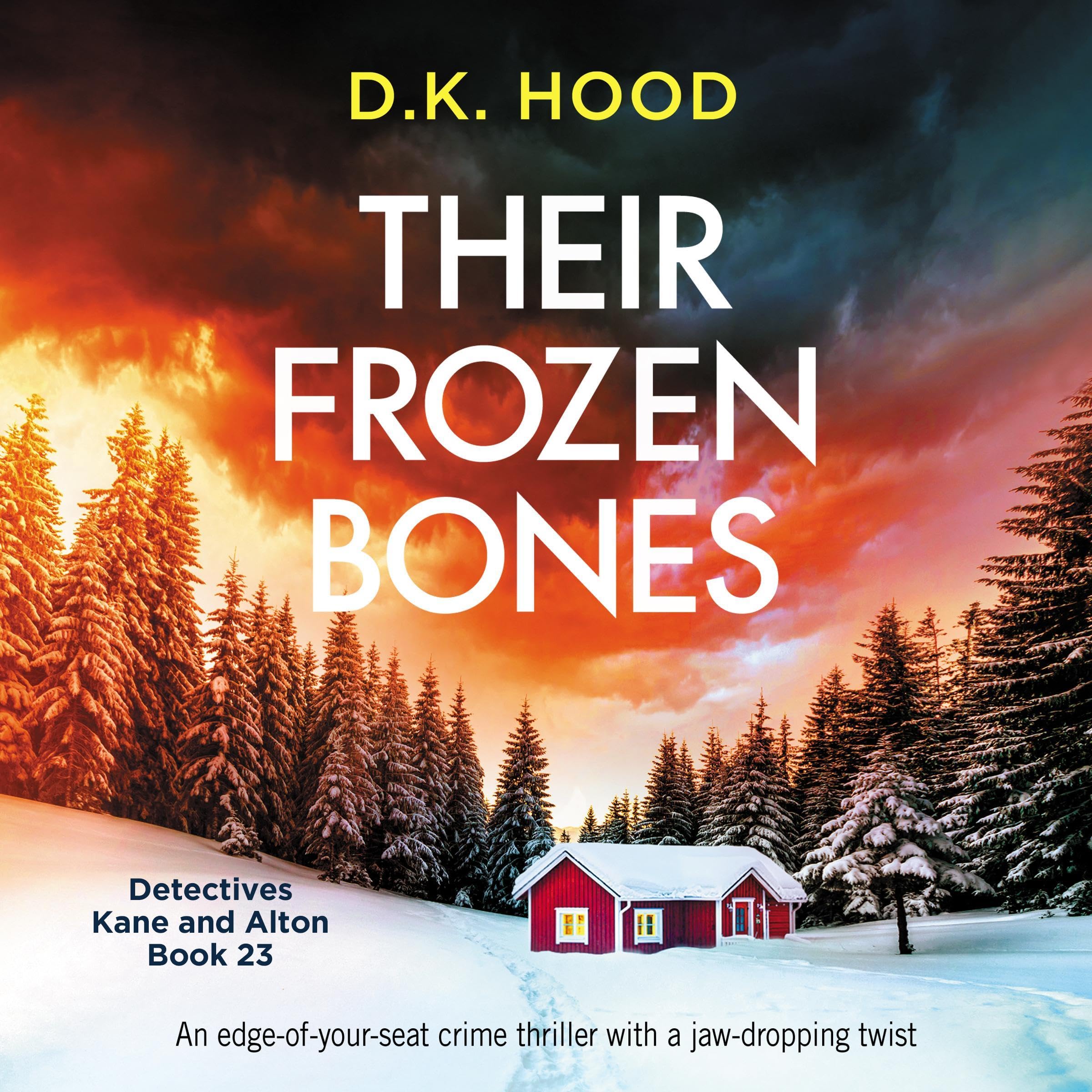 Cover art for Their Frozen Bones