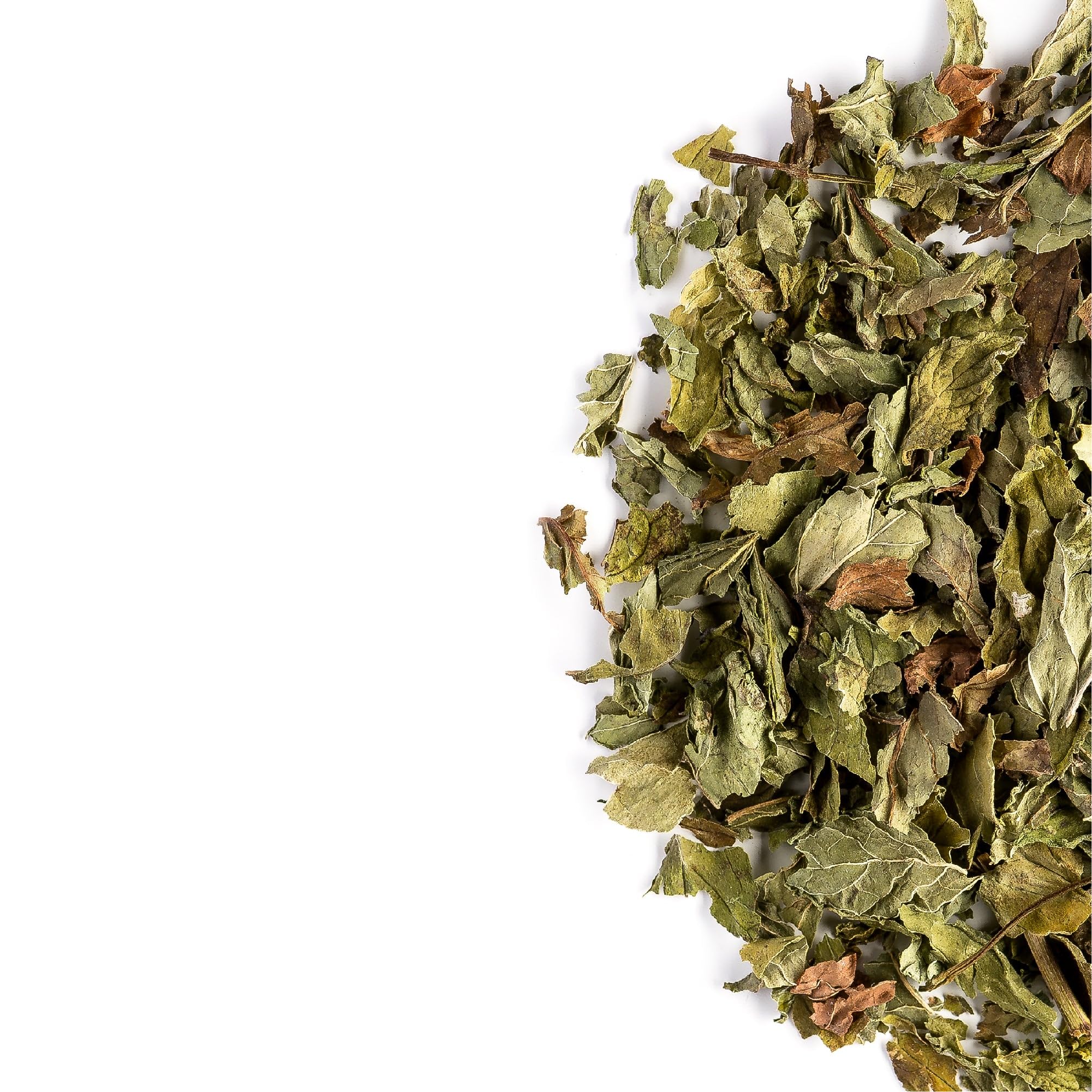 Mięta Kędzierzawa Sypana Bio - Duże Opakowanie Suszony Liść - Mentha