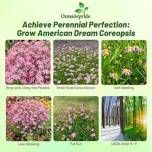 Miniatura 2 de Outsidepride Coreopsis Rosea - Semillas de plantas de jardín de semillas de cosquillo, 500 semillas