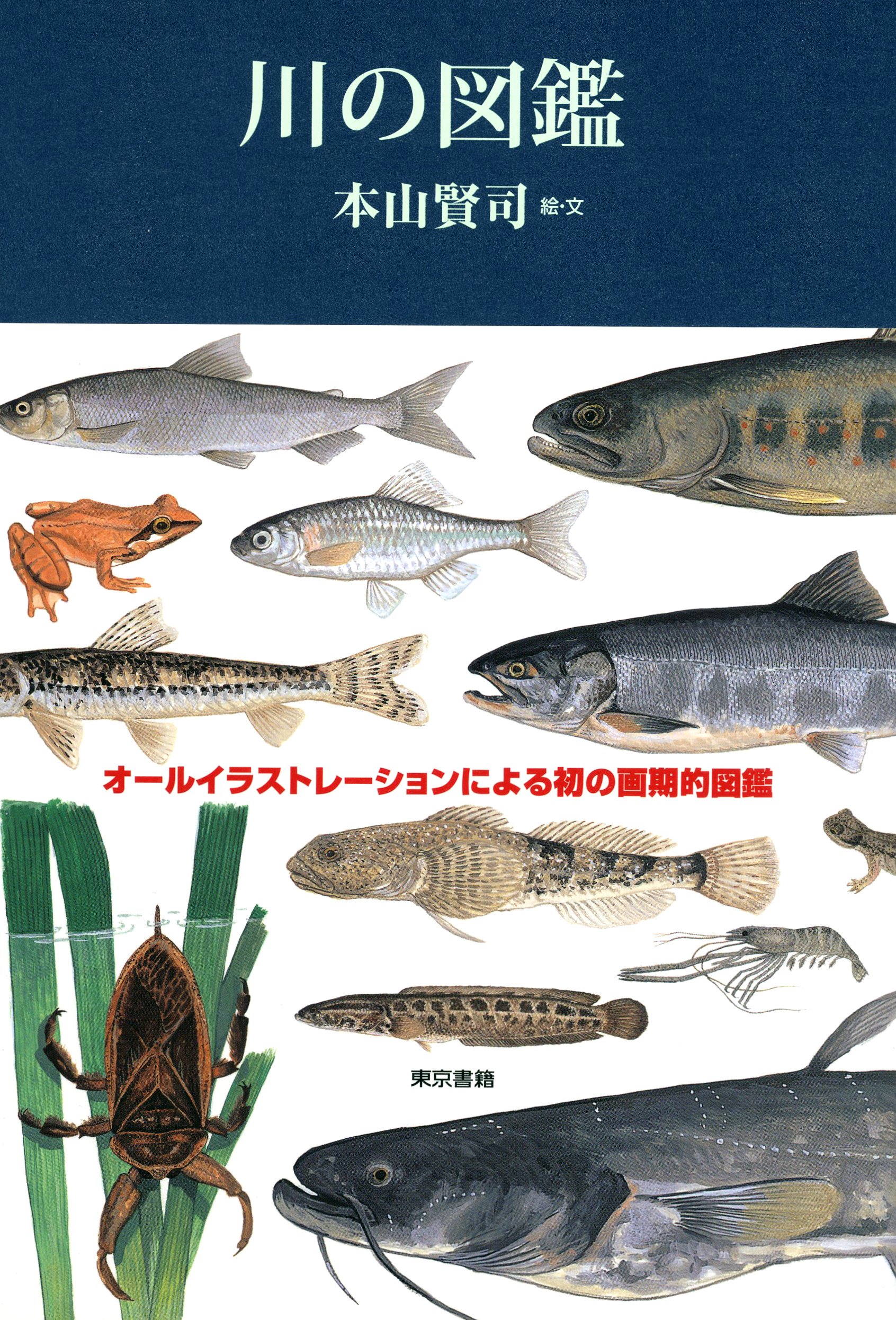 川の図鑑 本山 賢司 本山 賢司 本 通販 Amazon