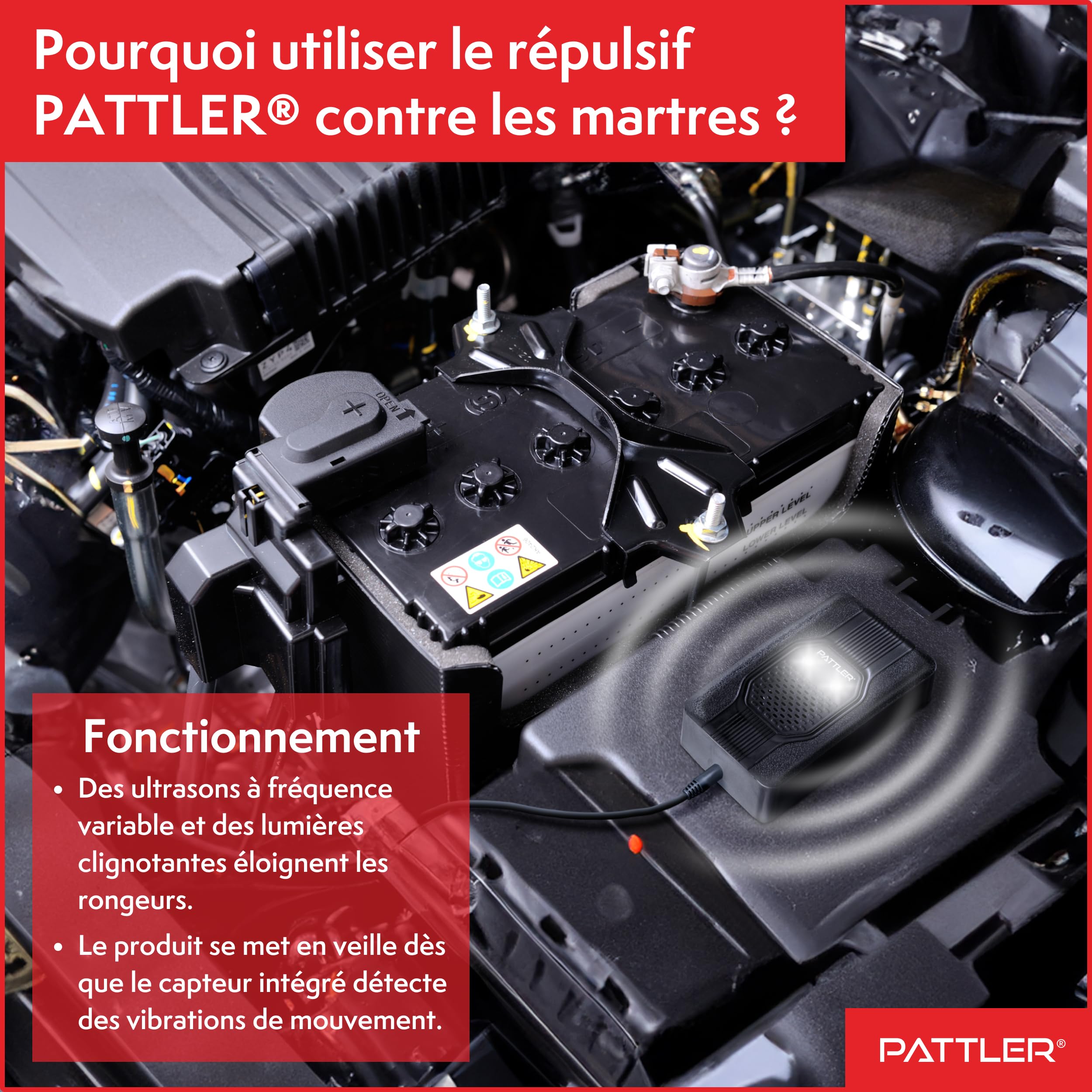 PATTLER® Anti Martre à Ultrasons avec Lumière – Répulsif Anti Martre pour Voiture avec Alimentation 12V, Piles AA ou USB, Protection Efficace contre les Martres. 1 Unité