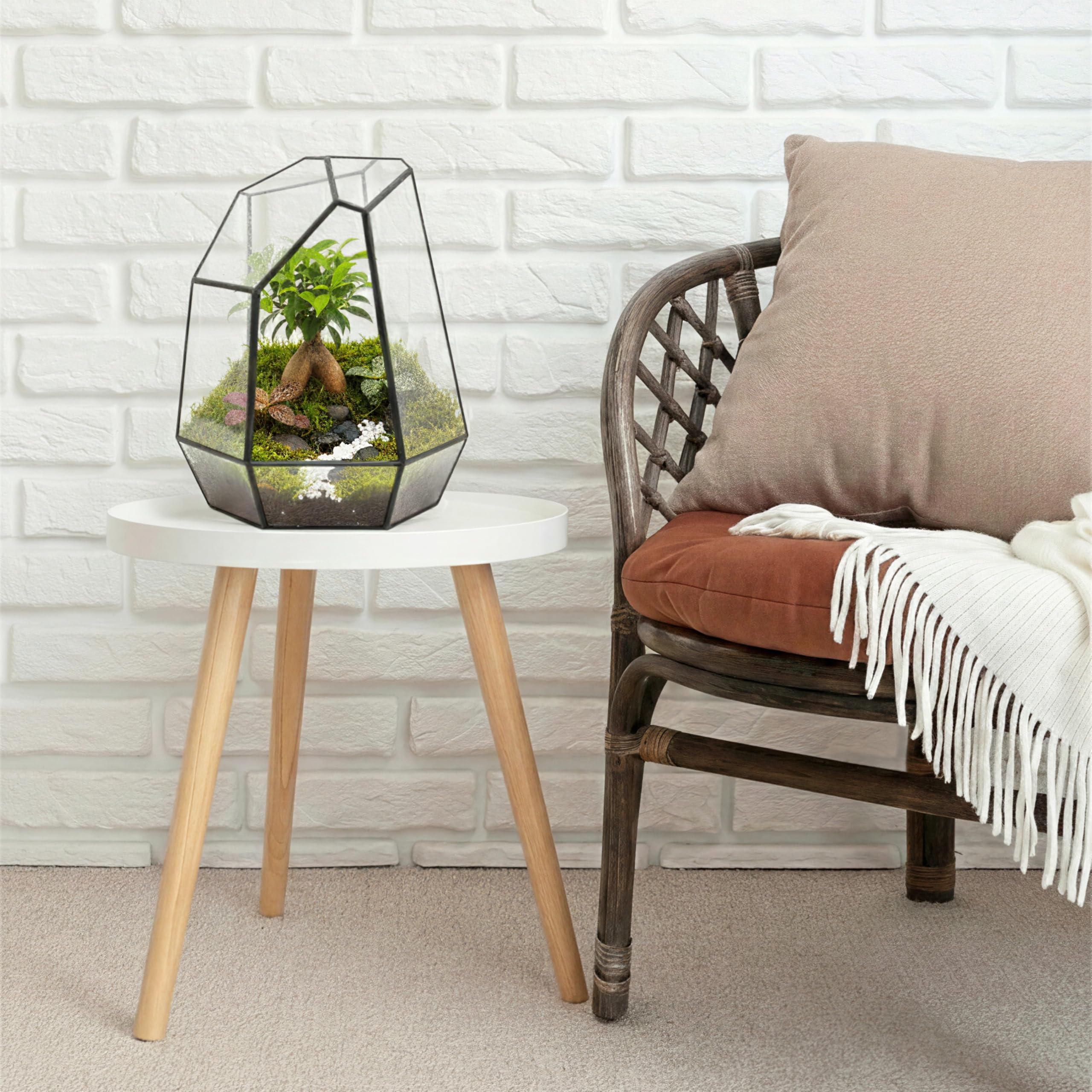 Noctis - Kit de Terrarium Complet DIY pour Plantes avec Substrat et 10 Outils Inclus - Structure en Verre - Design Géométrique - Écosystème Autonome, Coffret Créatif (sans Plantes)