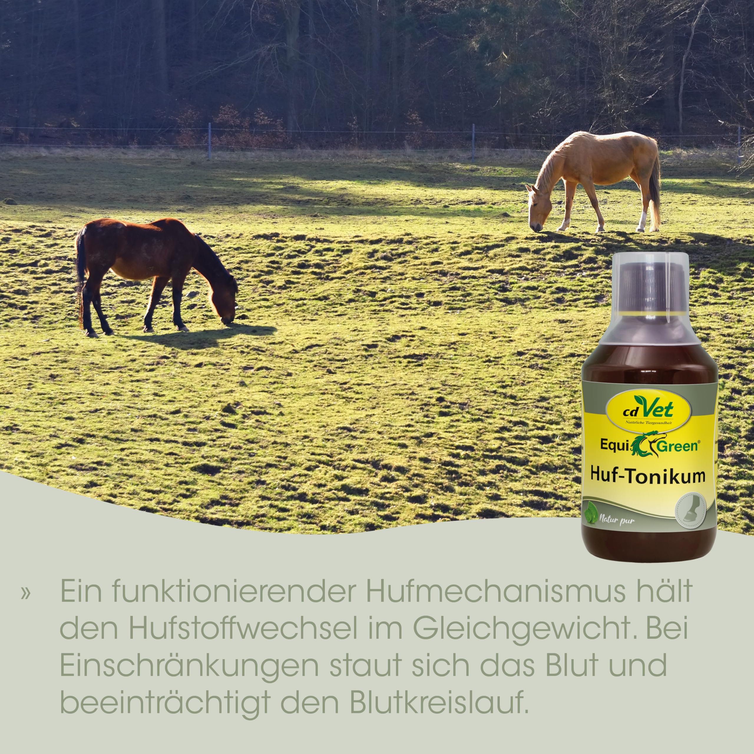 cdVet EquiGreen Huftonikum, 500 ml
