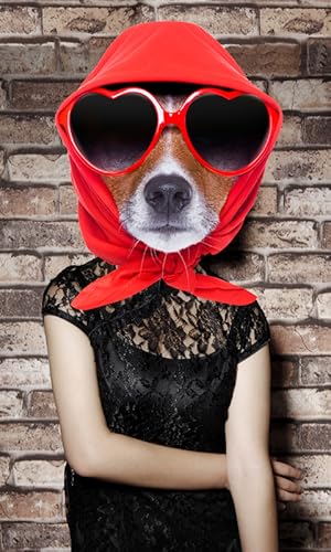 Dog Face Photo Montage