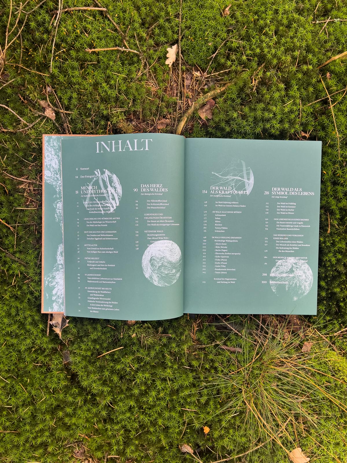 THE WOODS: Einzigartiger Kosmos - Ewiger Kreislauf: wunderschöner Bildband mit Holzcover, Waldwissen und Inspiration - ein ganz besonderes Geschenk