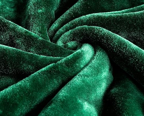 Miniatura 3 de Chezmoi Collection Manta pesada de visón sintético de una sola capa de 9 libras estilo coreano 750 GSM gruesa suave y sedosa 85 x 95 pulgadas tamaño