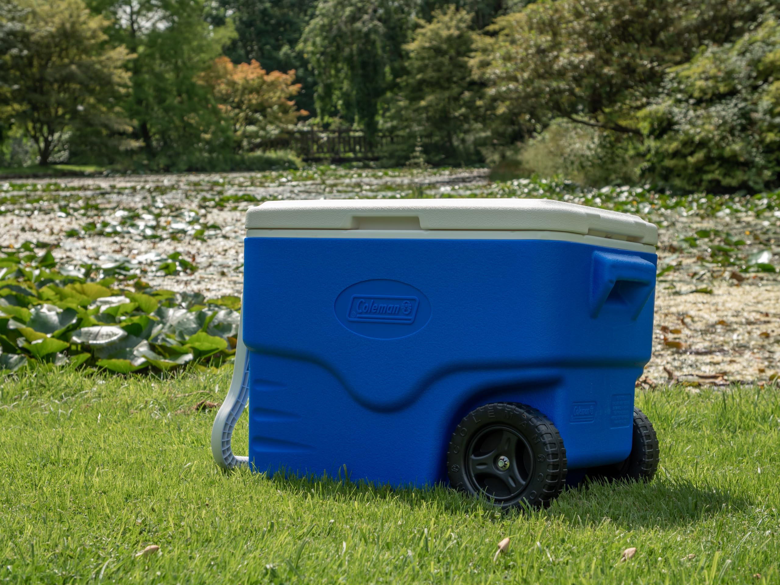 Coleman 40 QT Performance Wheeled Cooler - Nevera con Ruedas, Capacidad de 38 litros, Nevera Portátil y Rígida, Porta Alimentos, Color Azul