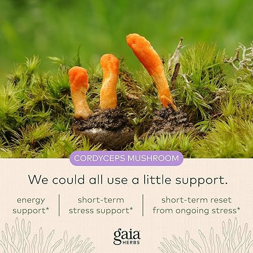 Miniatura 5 de Suplemento de hierbas para la salud suprarenal 60 unidades 60 1 1