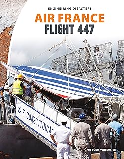 Air France Flight 447 (Engineering Disasters)