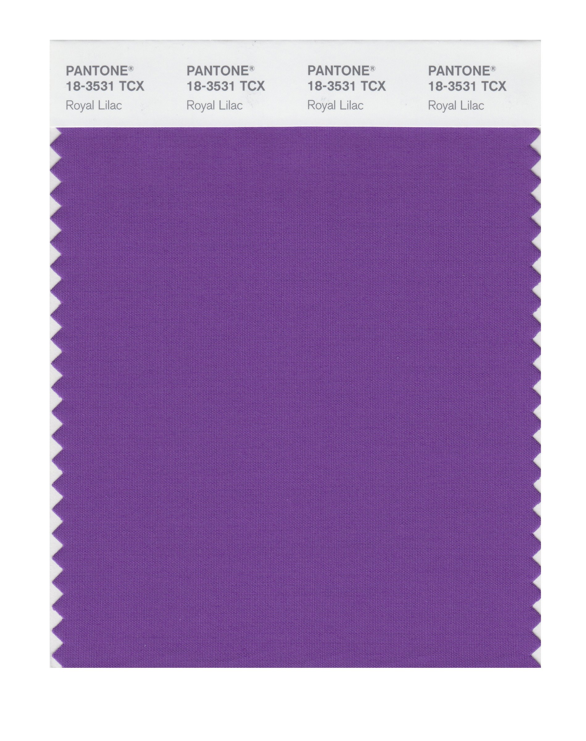 PANTONE SMART 18-3531X Color Swatch Card, Royal Lilac - House