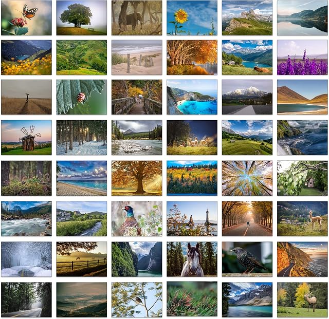 48 Landscape Photo Greeting Cards with Plain Blue Envelopes