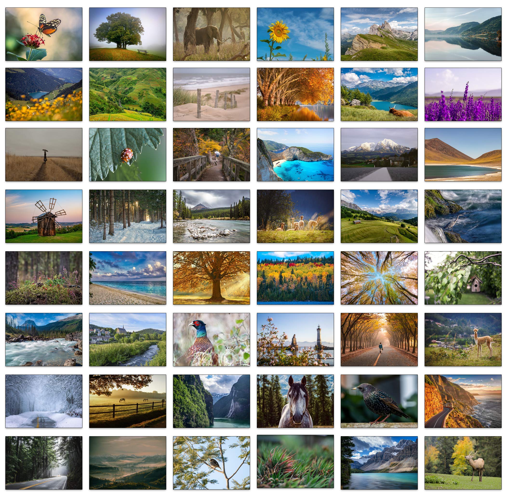 48 Landscape Photo Greeting Cards with Plain Blue Envelopes