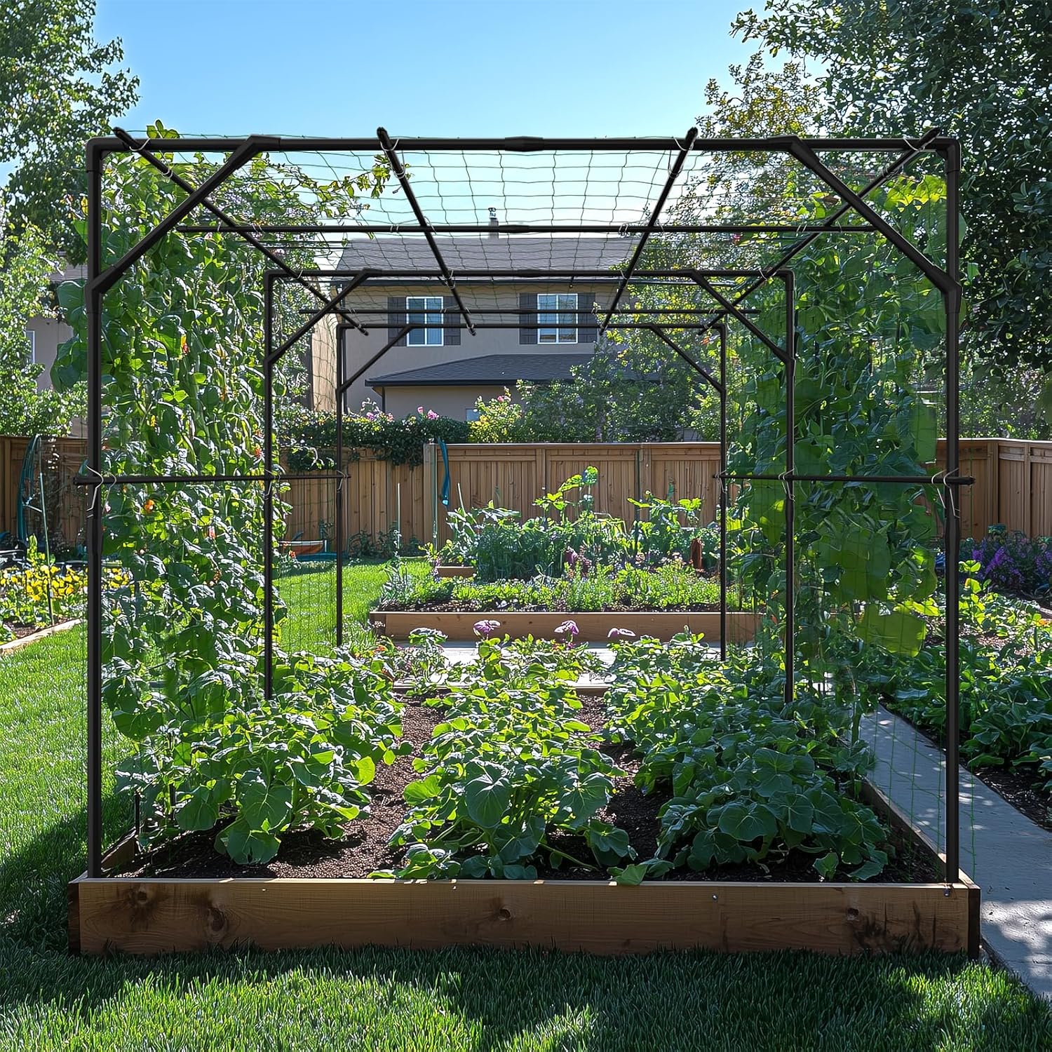 DoCred Large Garden Arch Trellis for Climbing Plants, 79'' H x 79'' L x 79'' W Outdoor Grape Vine Trellis Arch Arbor Gazebo, Grape Trellis for Climbing Plants, Courtyard and Garden Decoration, Black