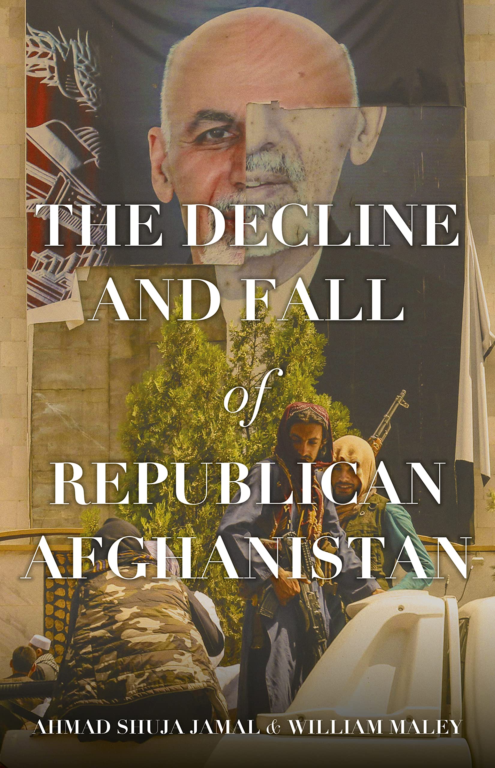 Buy The Decline and Fall of Republican Afghanistan — BookShops.in