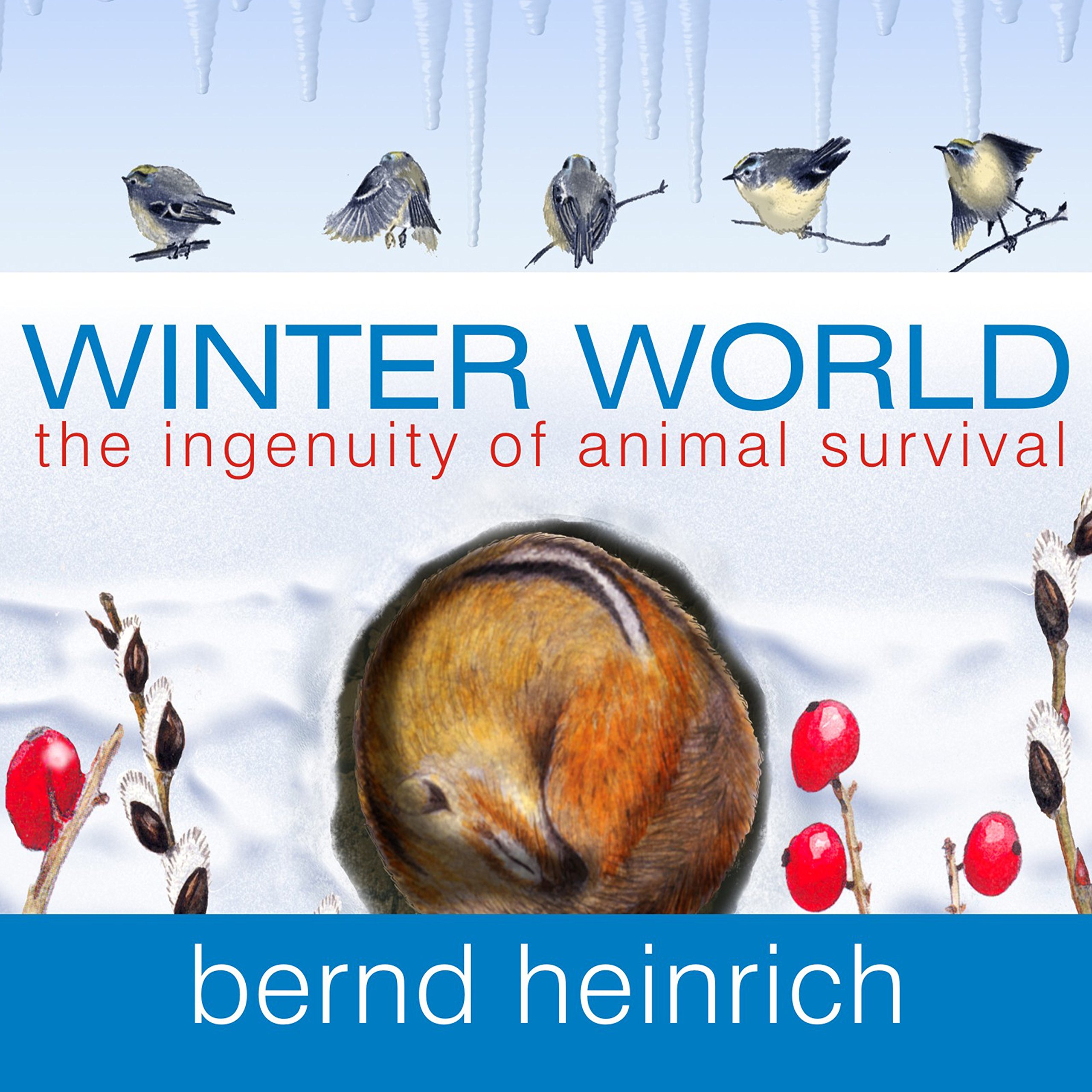 Cover art for Winter World