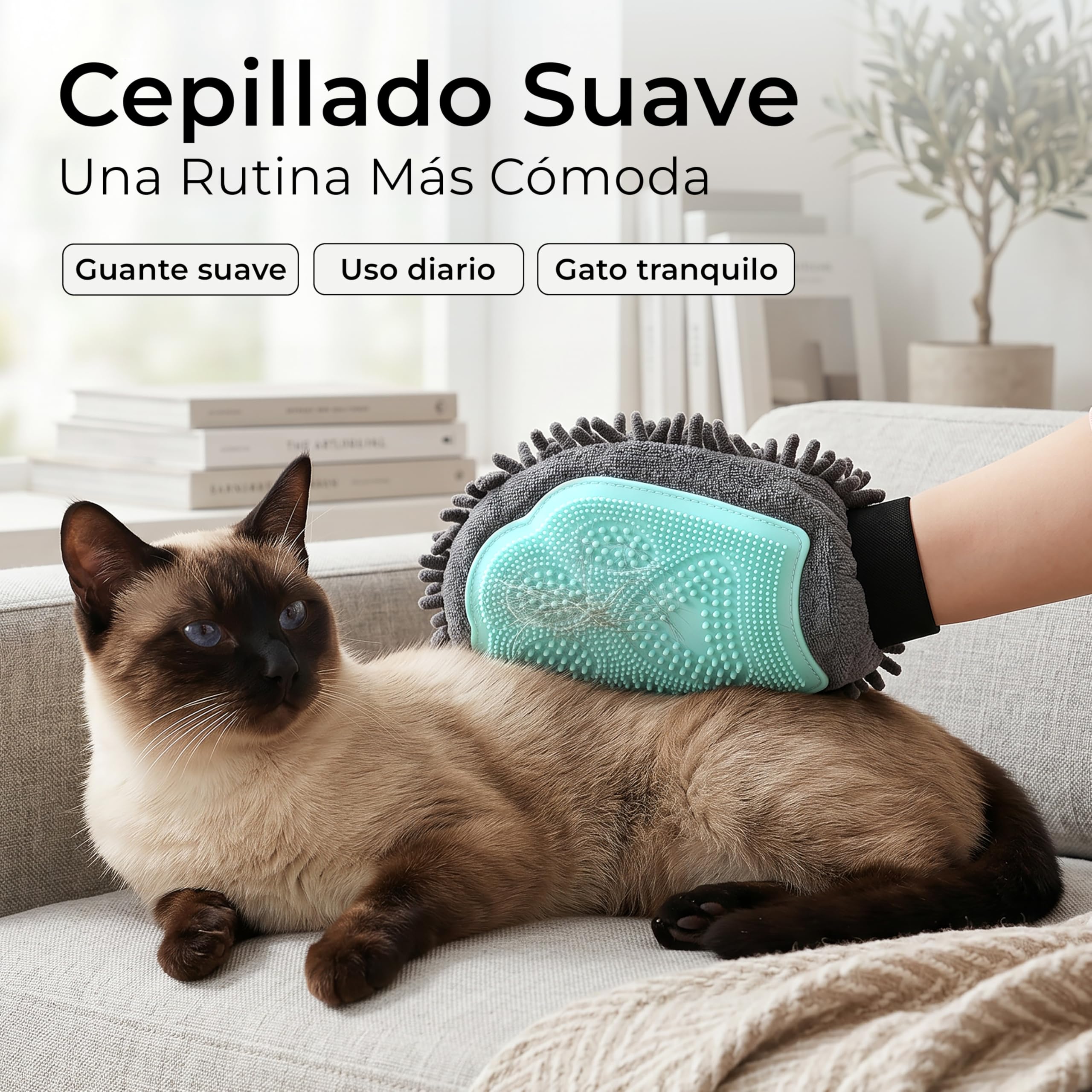 Kit Quitapelos Premium para Gatos de Interior - Guante Suave Mejorado con Velcro Firme + Cepillo Quitapelos Reutilizable para Sofá y Ropa + Mini Peine - Pack Todo en Uno