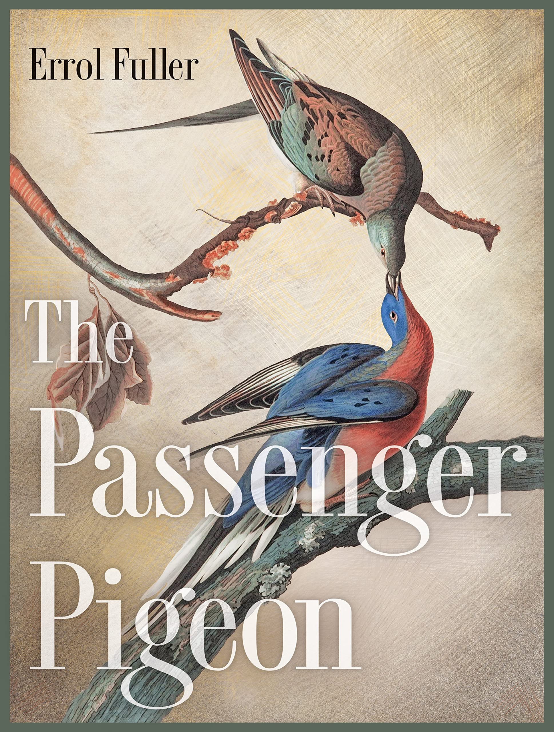 The Passenger Pigeon-Errol Fuller