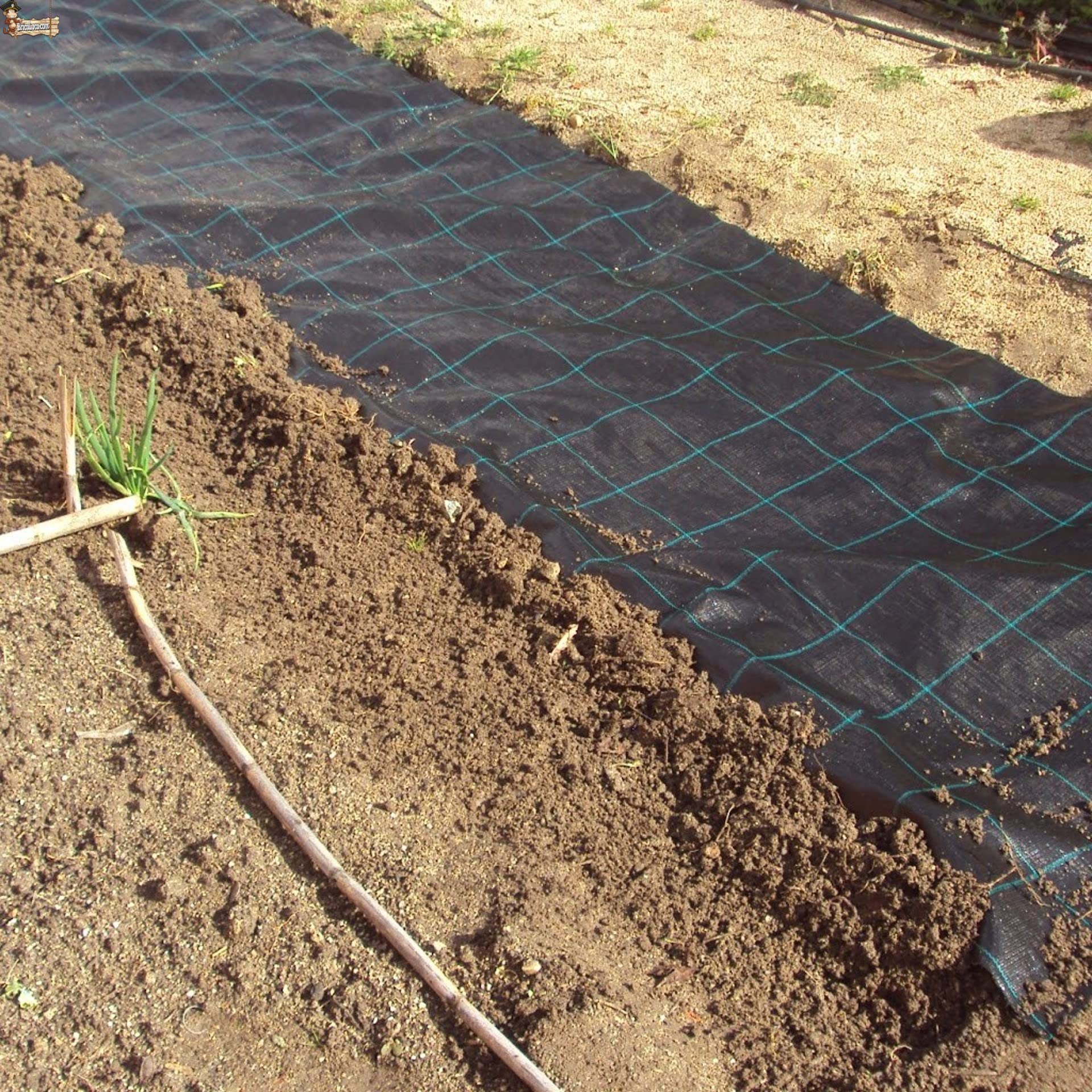 BricoLoco.com Manta Malla antihierbas Negra para Agricultura, jardín, huerto, césped Artificial. 135 grs./m2. Tela en Rafia de Polipropileno 100%. (50, 2)
